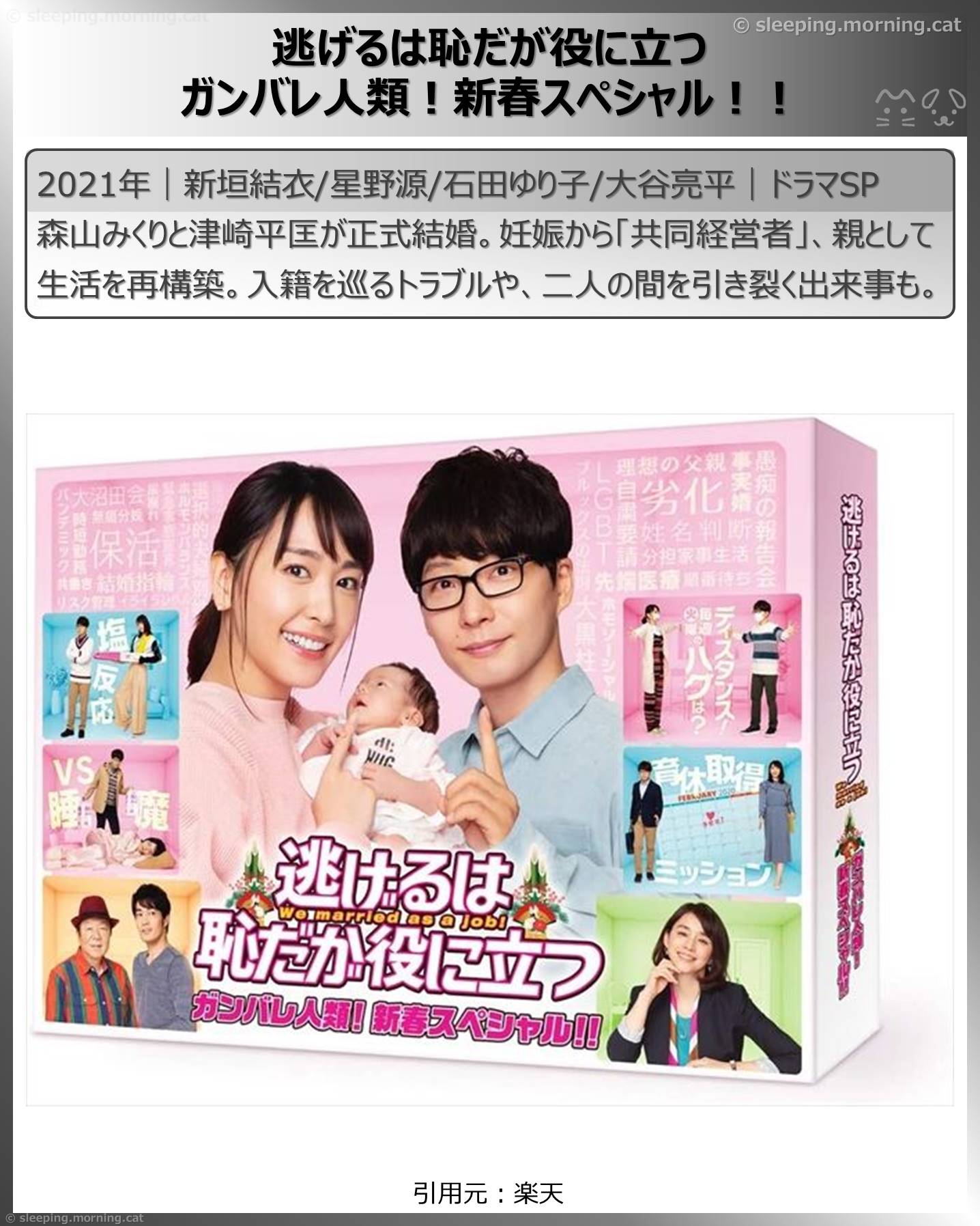 新垣結衣：逃げるは恥だが役に立つガンバレ人類!新春スペシャル!!