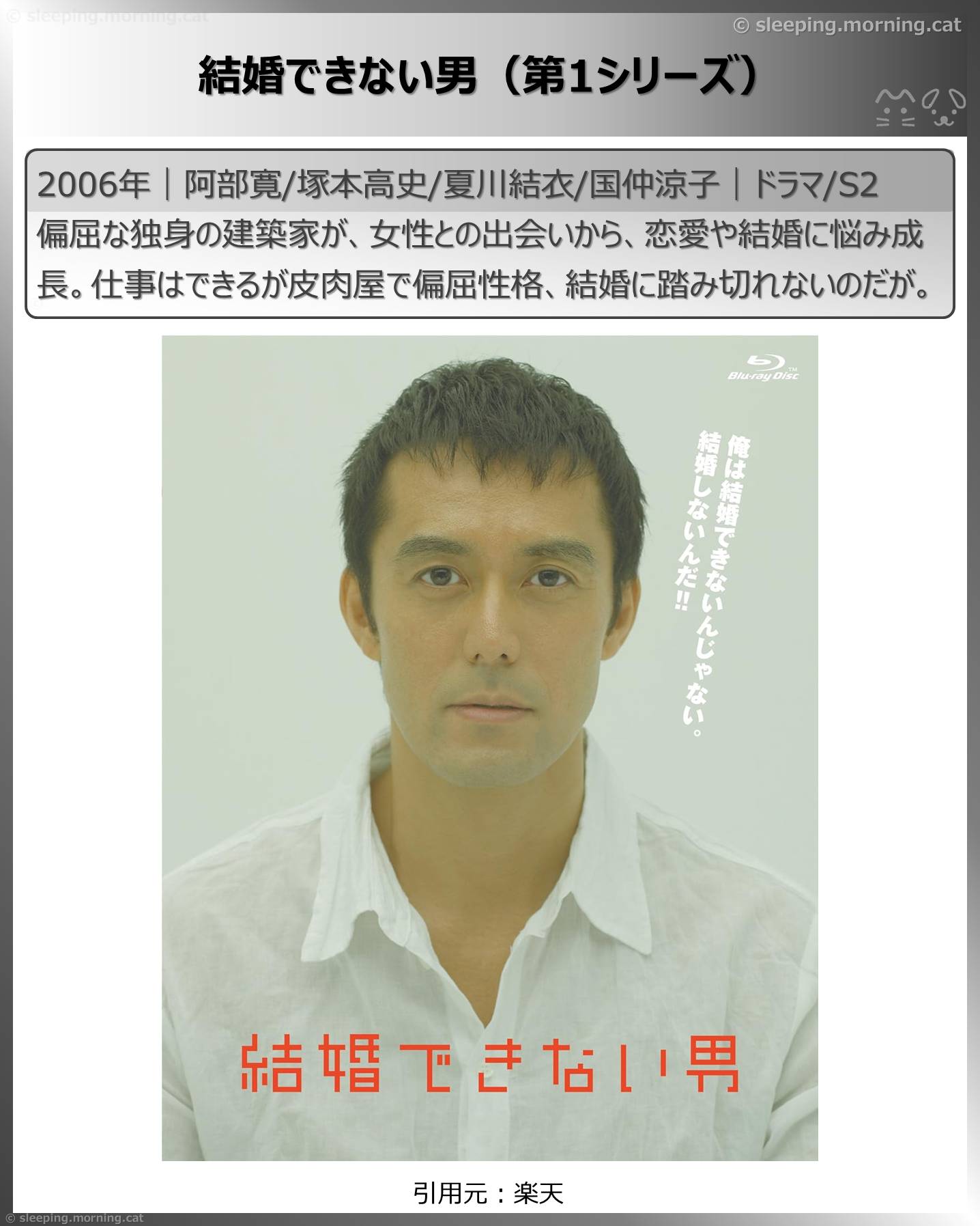 阿部寛：結婚できない男（第1シリーズ）