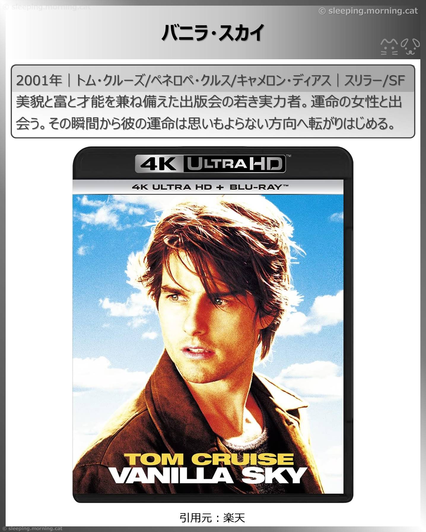 トム・クルーズ：バニラ・スカイ