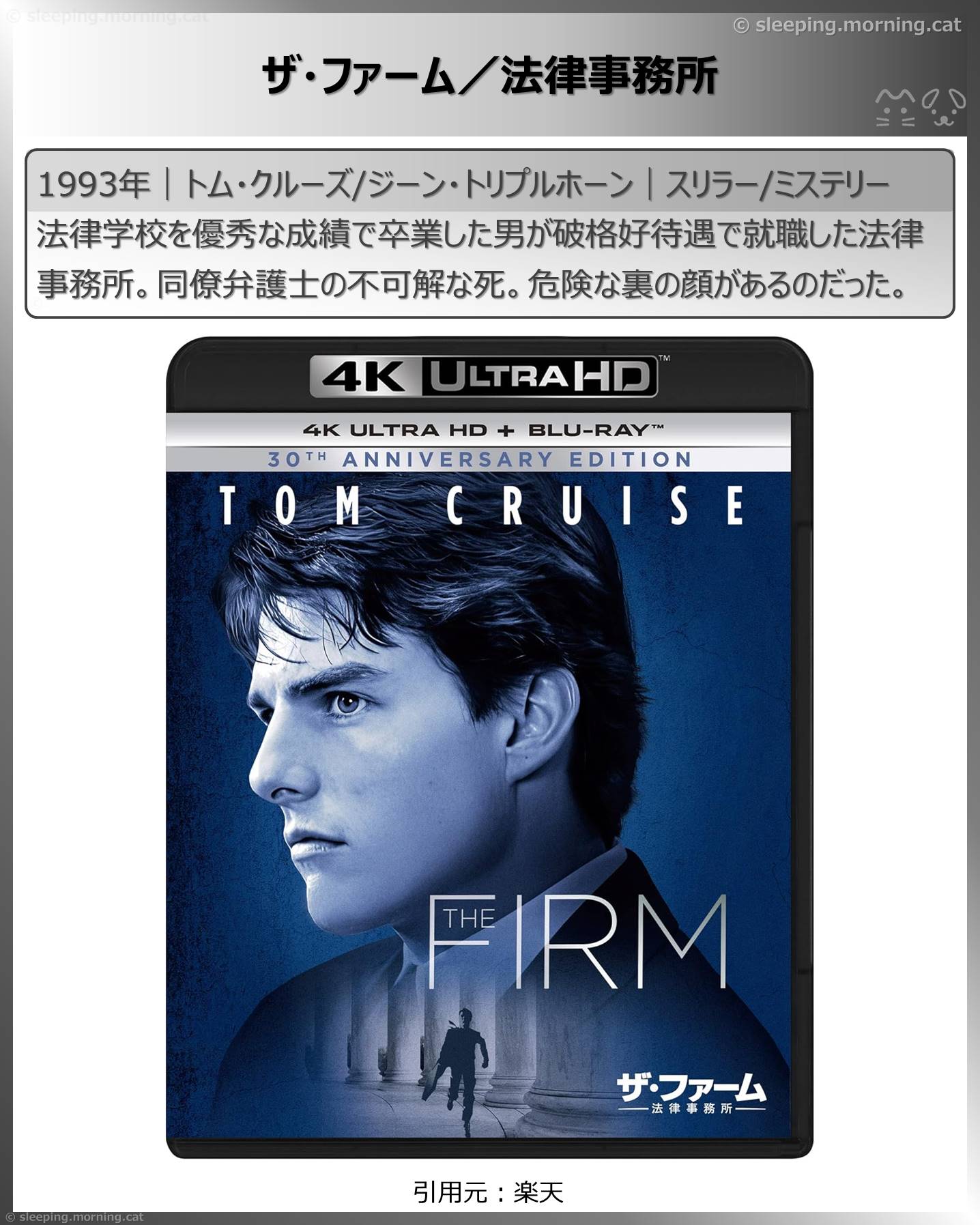 トム・クルーズ：ザ・ファーム／法律事務所