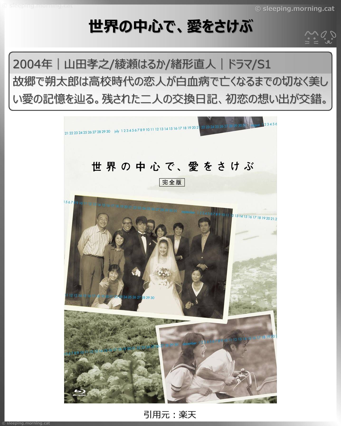 綾瀬はるか：世界の中心で、愛をさけぶ