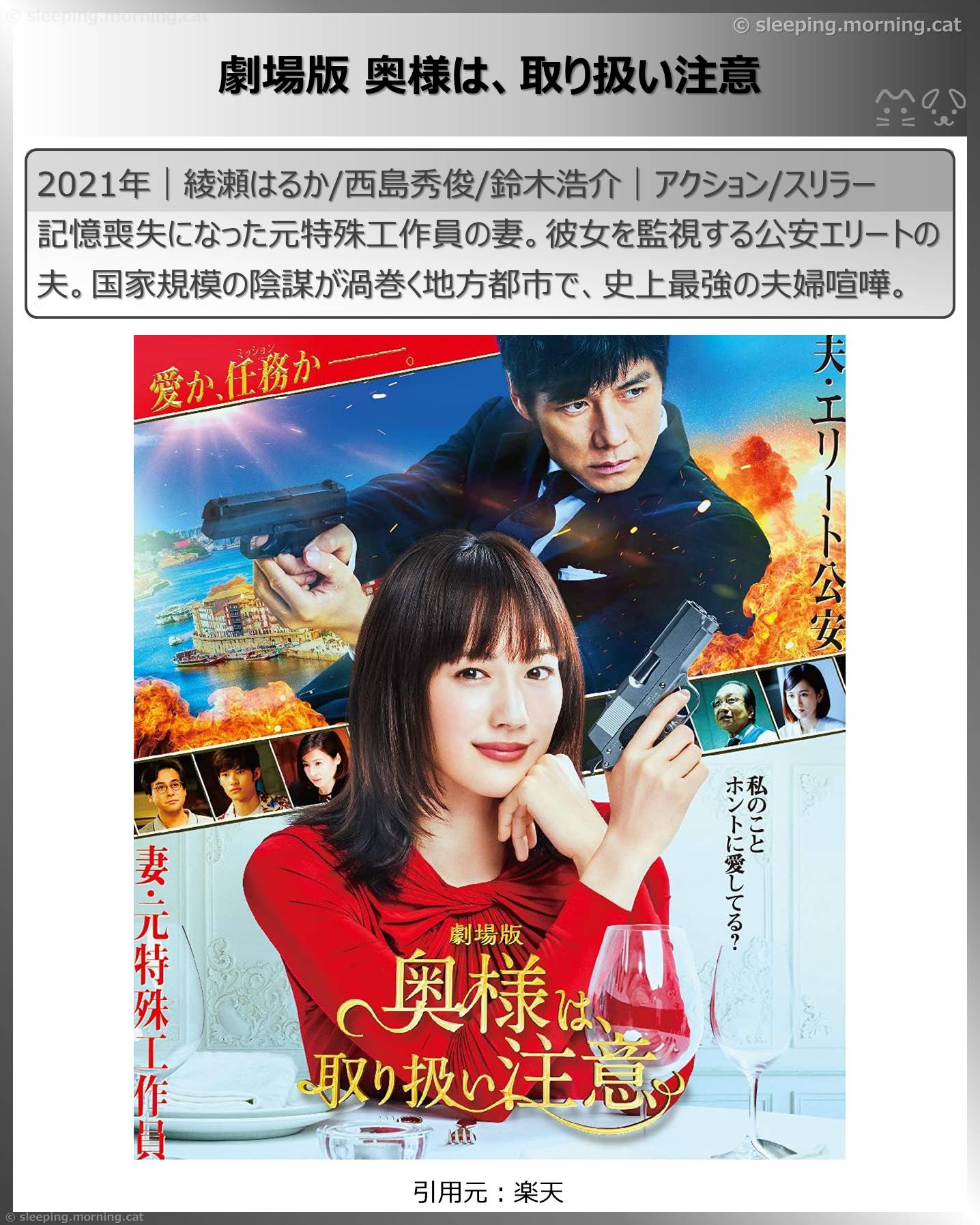 西島秀俊：劇場版 奥様は、取り扱い注意