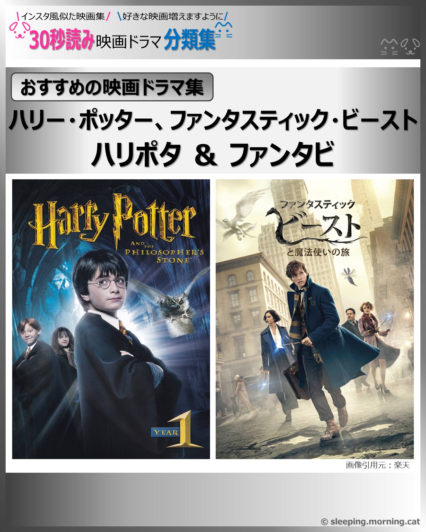 表紙：ハリポタ＆ファンタビ作品