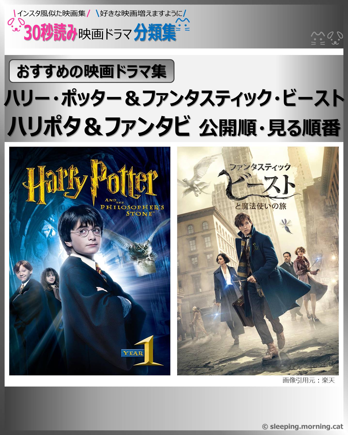 表紙：ハリポタ＆ファンタビ