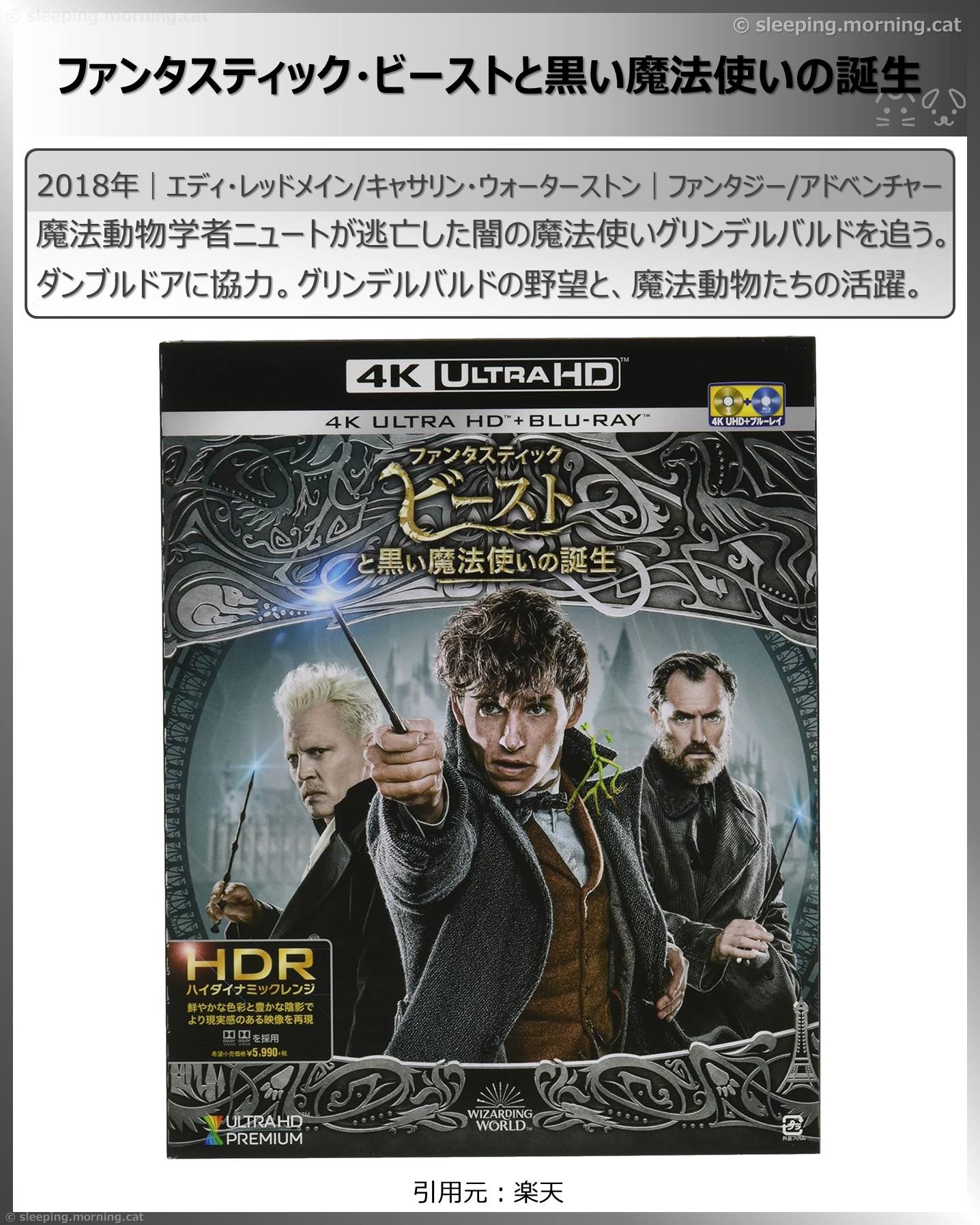 ハリポタ＆ファンタビ：ファンタスティック・ビーストと黒い魔法使いの誕生