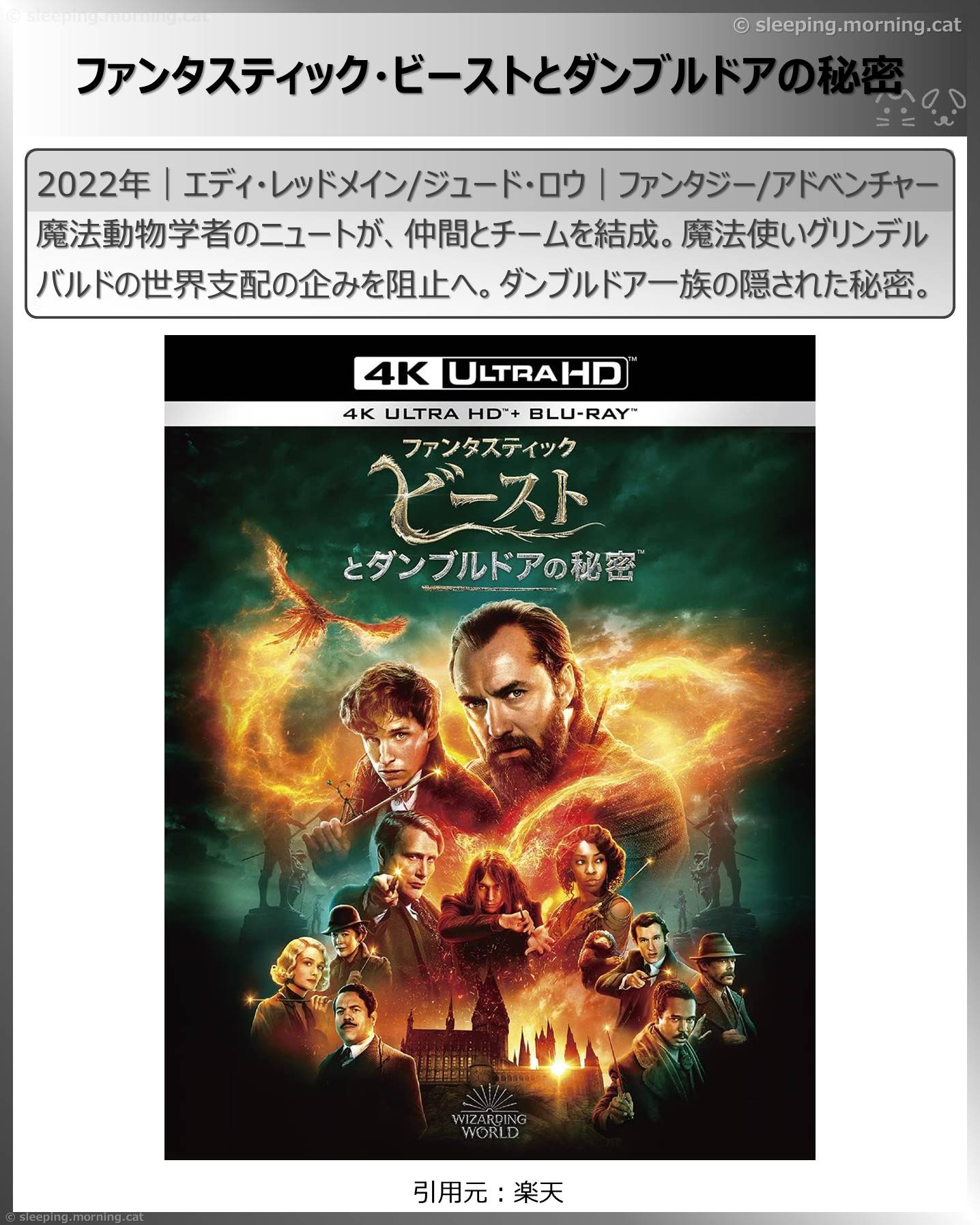 ハリポタ＆ファンタビ：ファンタスティック・ビーストとダンブルドアの秘密