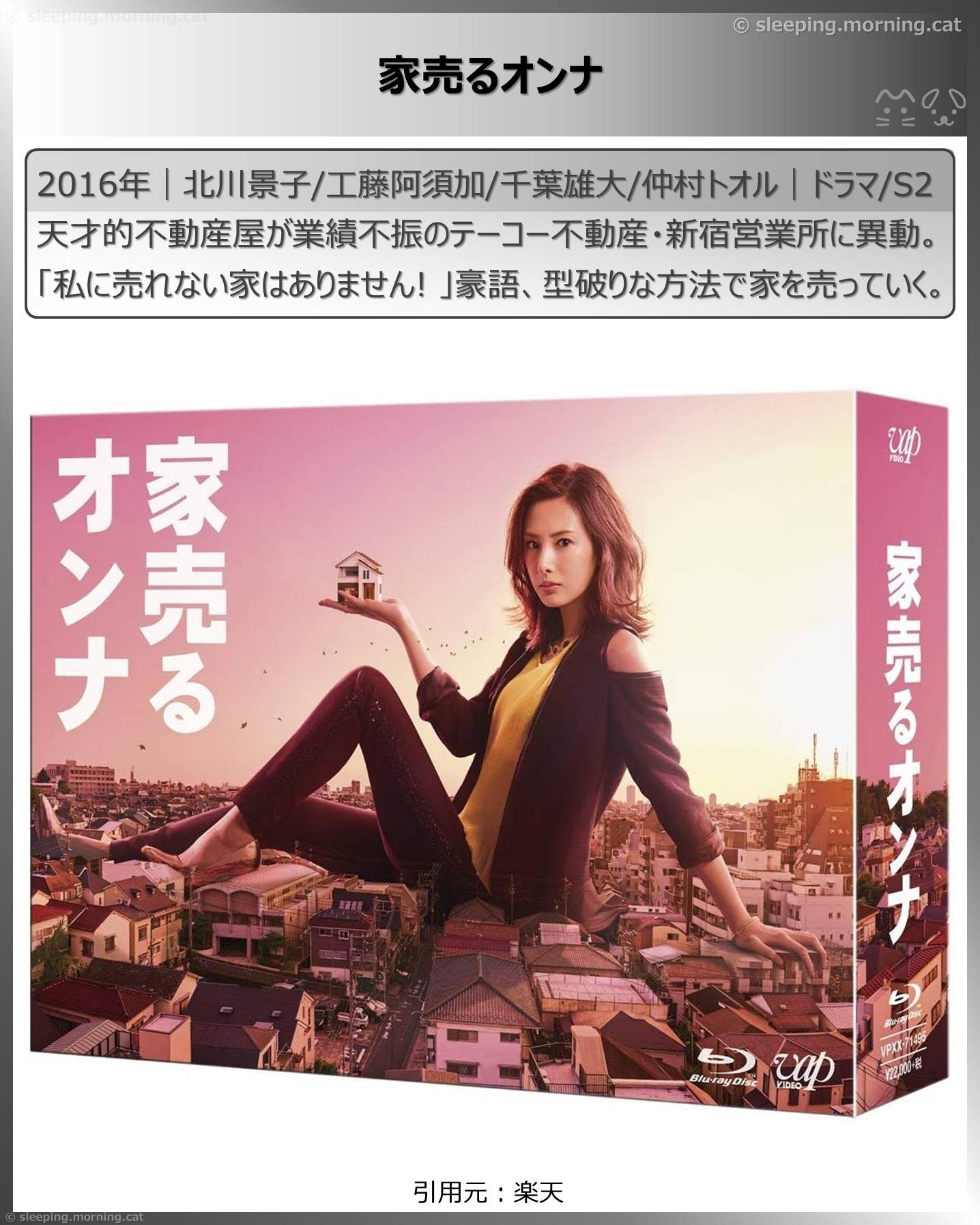 北川景子：家売るオンナ