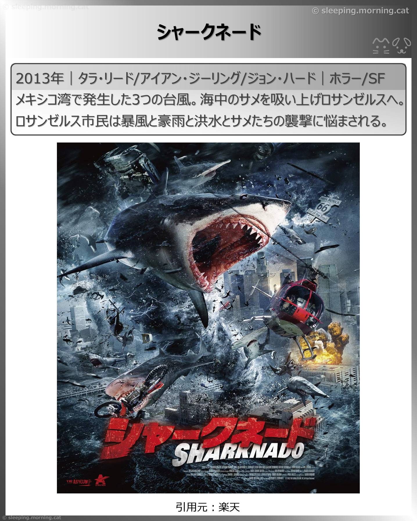 サメ映画：シャークネード