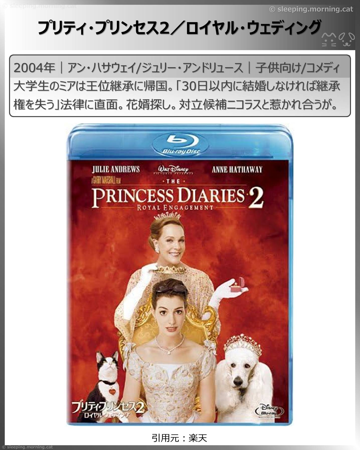 アン・ハサウェイ：プリティ・プリンセス2／ロイヤル・ウェディング