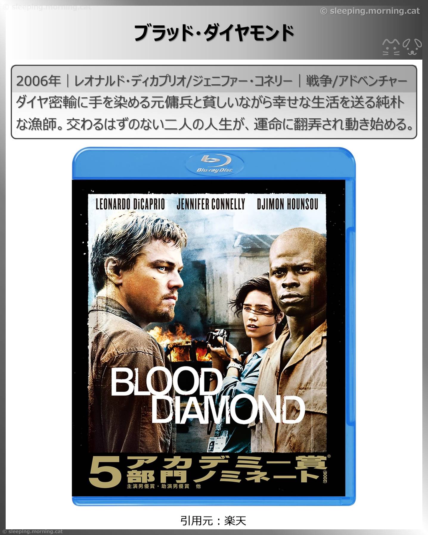 レオナルド・ディカプリオ：ブラッド・ダイヤモンド