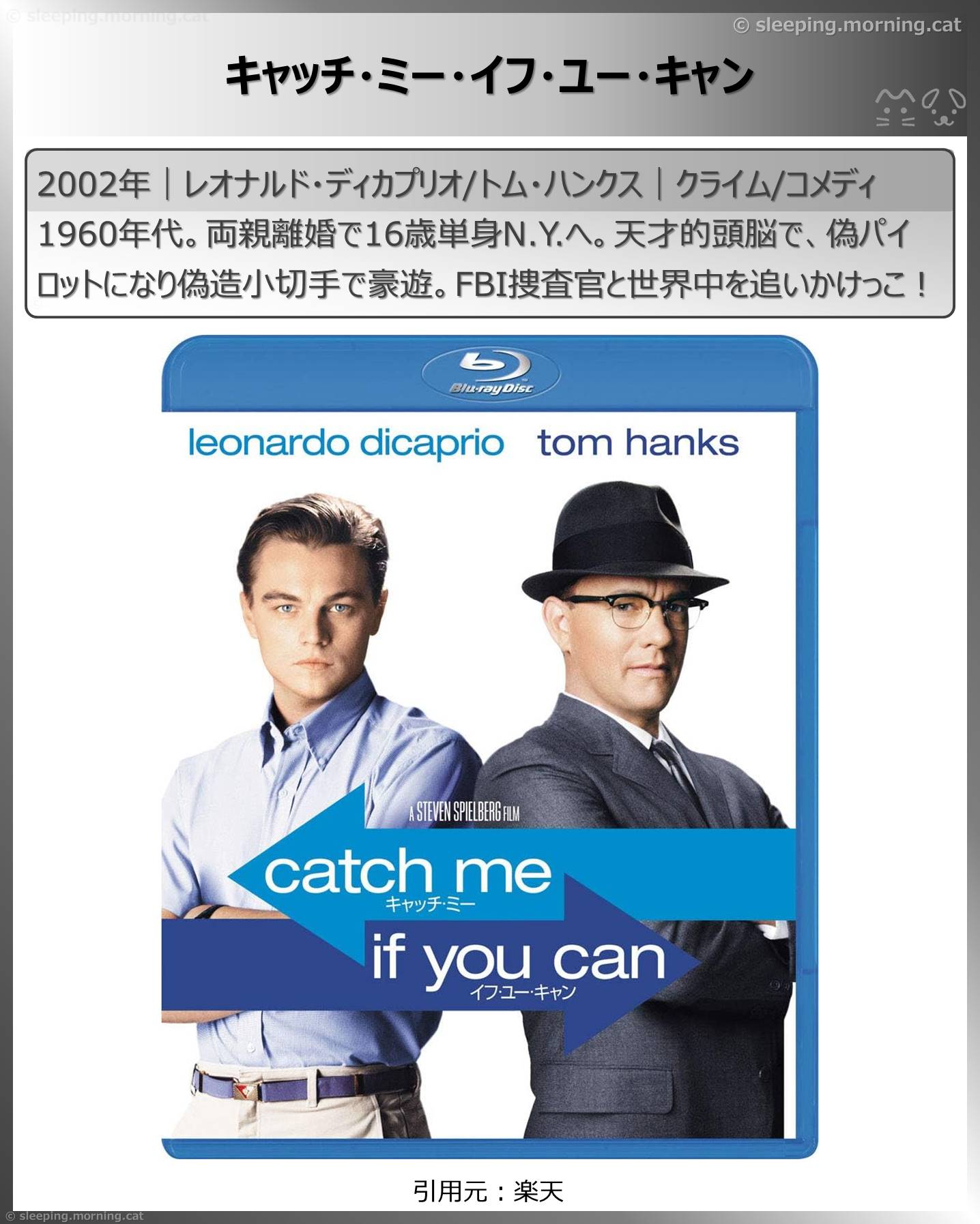 レオナルド・ディカプリオ：キャッチ・ミー・イフ・ユー・キャン