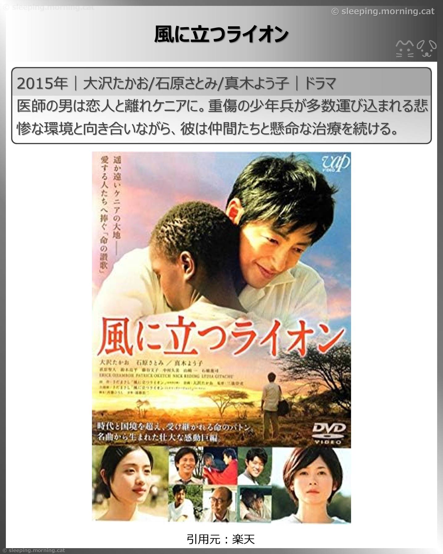 石原さとみ：風に立つライオン