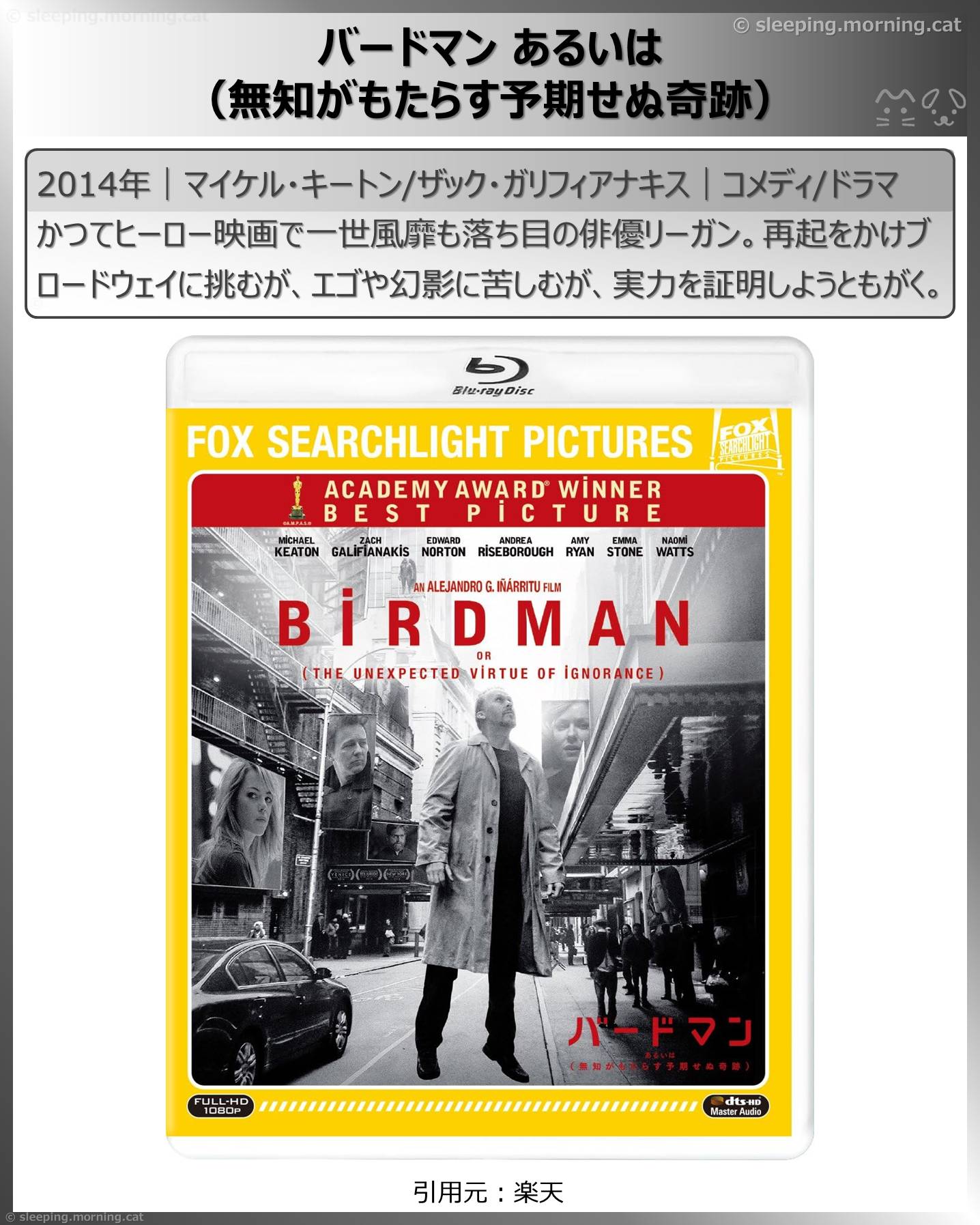 エマ・ストーン：バードマンあるいは（無知がもたらす予期せぬ奇跡）
