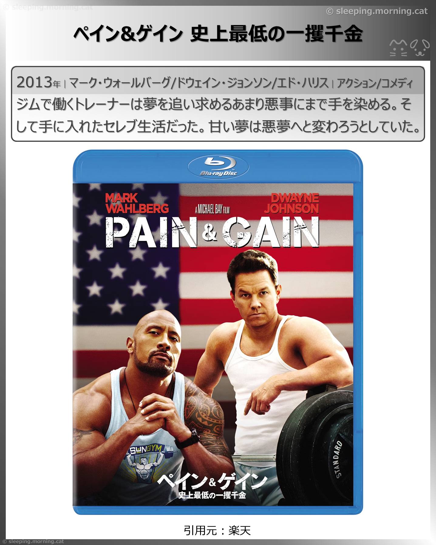 ペイン&ゲイン 史上最低の一攫千金