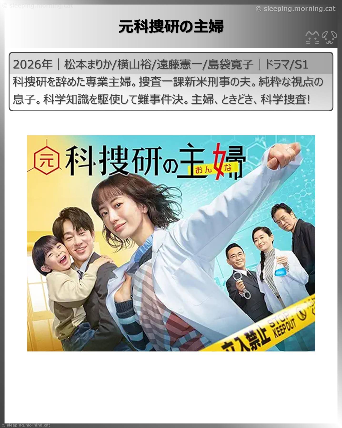 松本まりか：元科捜研の主婦