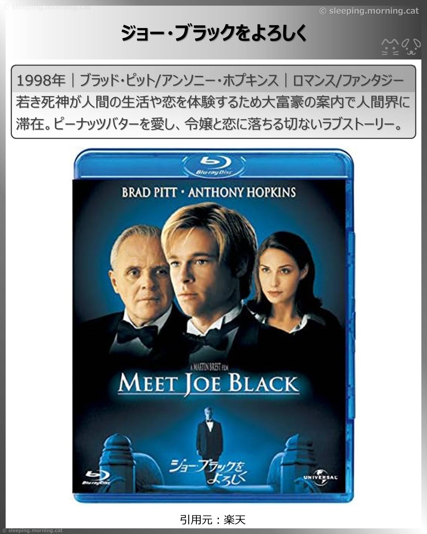 ブラッド・ピット：ジョー・ブラックをよろしく