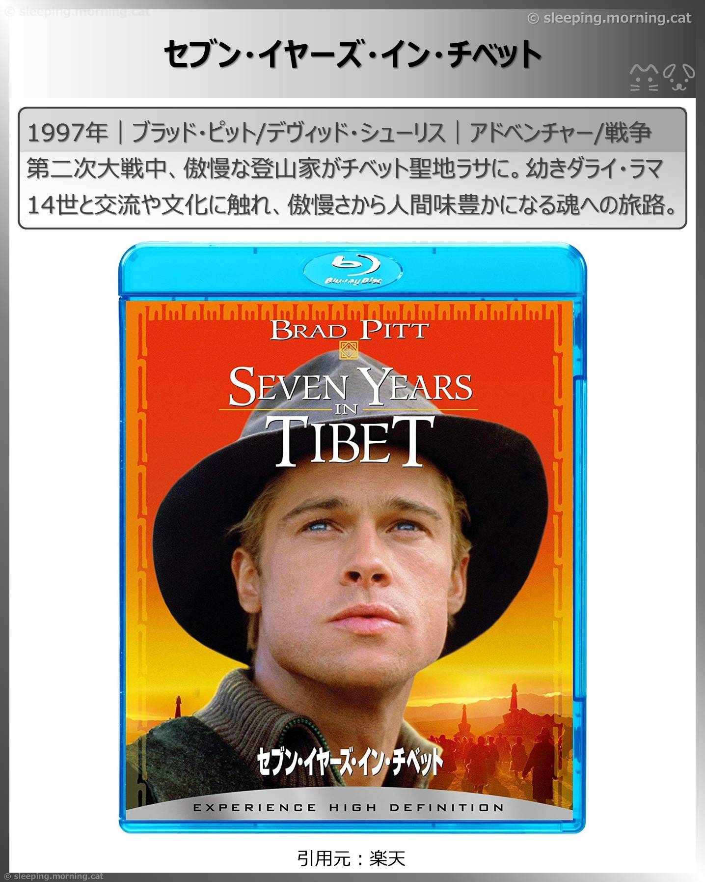 ブラッド・ピット：セブン・イヤーズ・イン・チベット