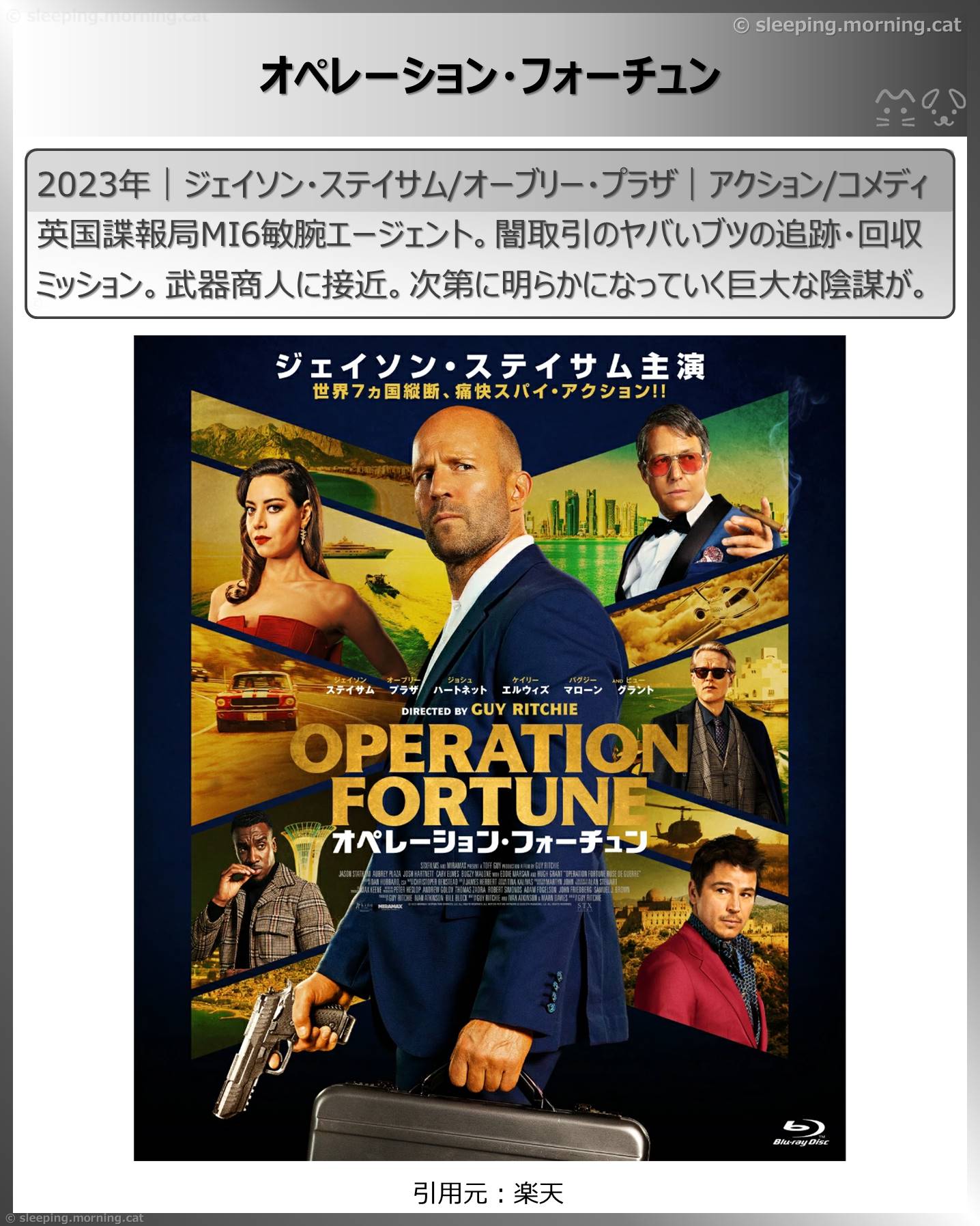 ジェイソン・ステイサム：オペレーション・フォーチュン