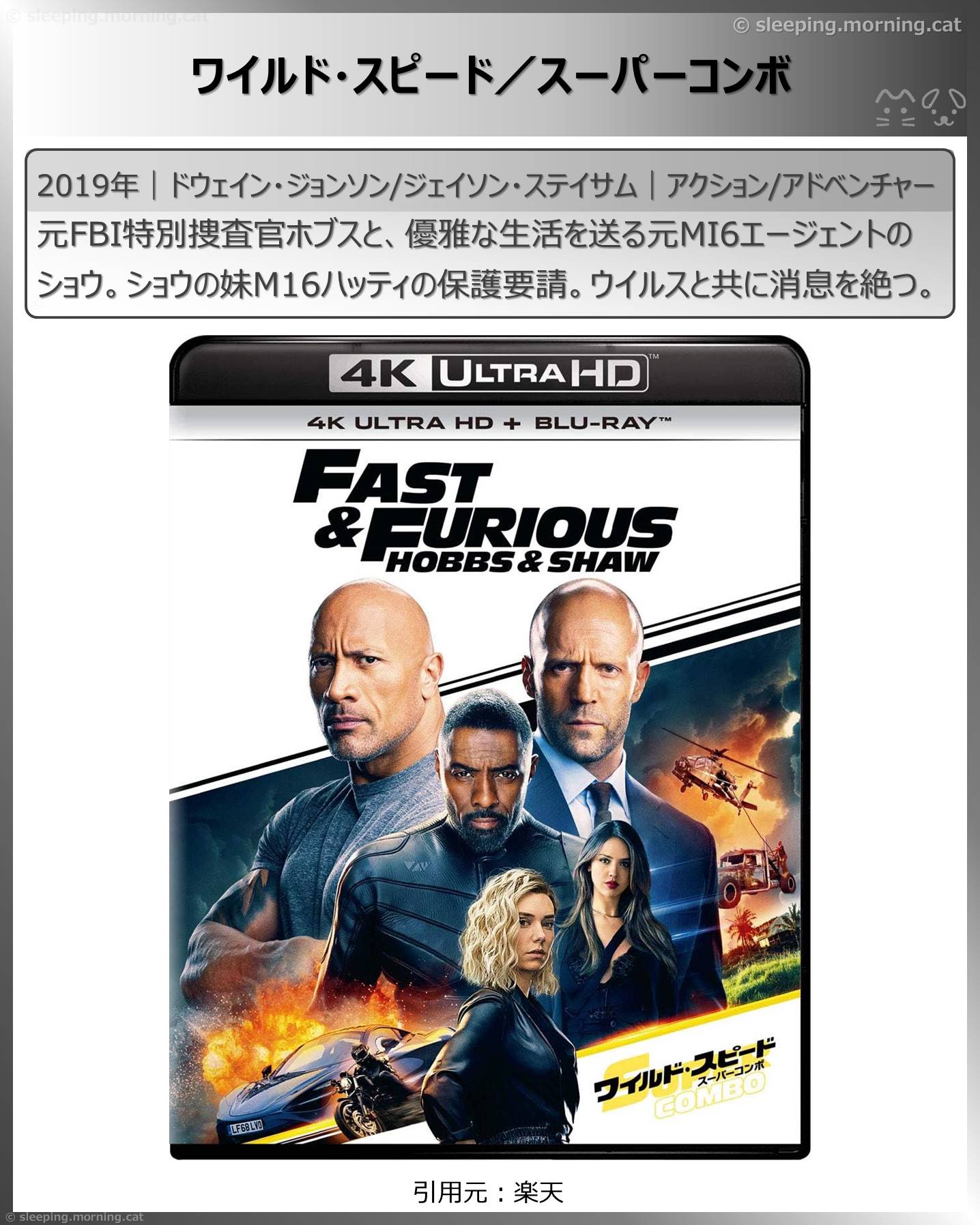 ジェイソン・ステイサム：ワイルド・スピード／スーパーコンボ