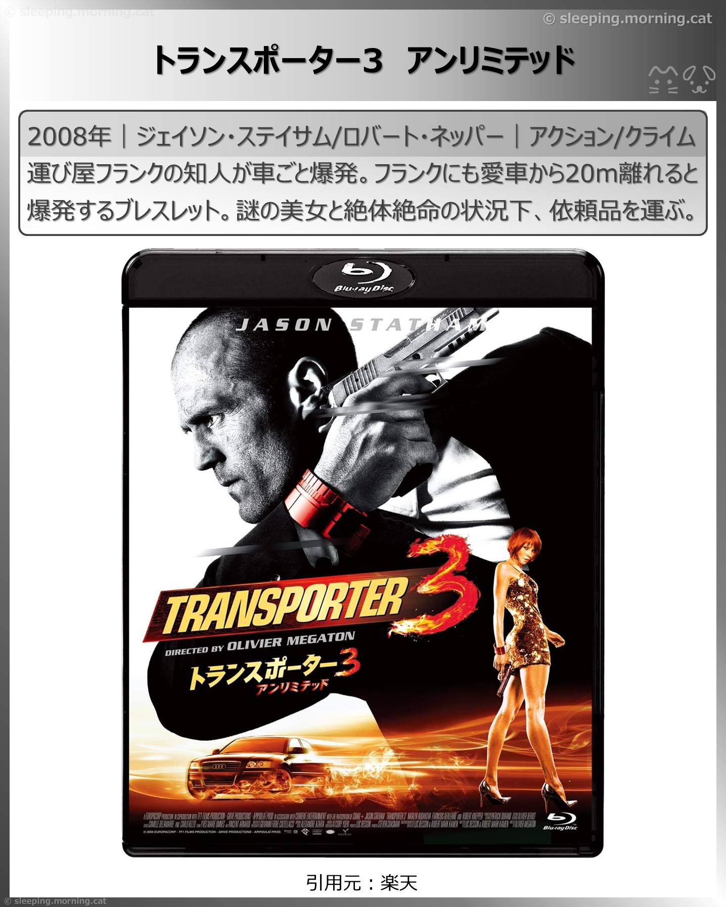 ジェイソン・ステイサム：トランスポーター3アンリミテッド