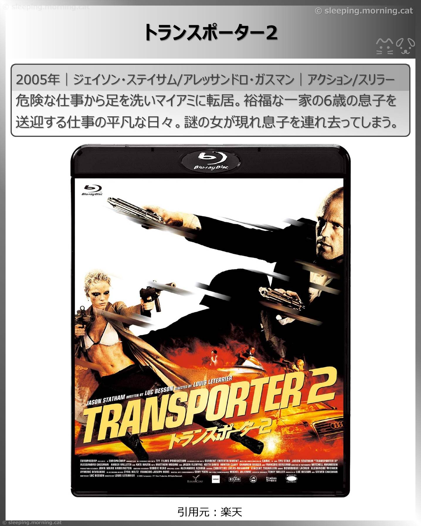 ジェイソン・ステイサム：トランスポーター2