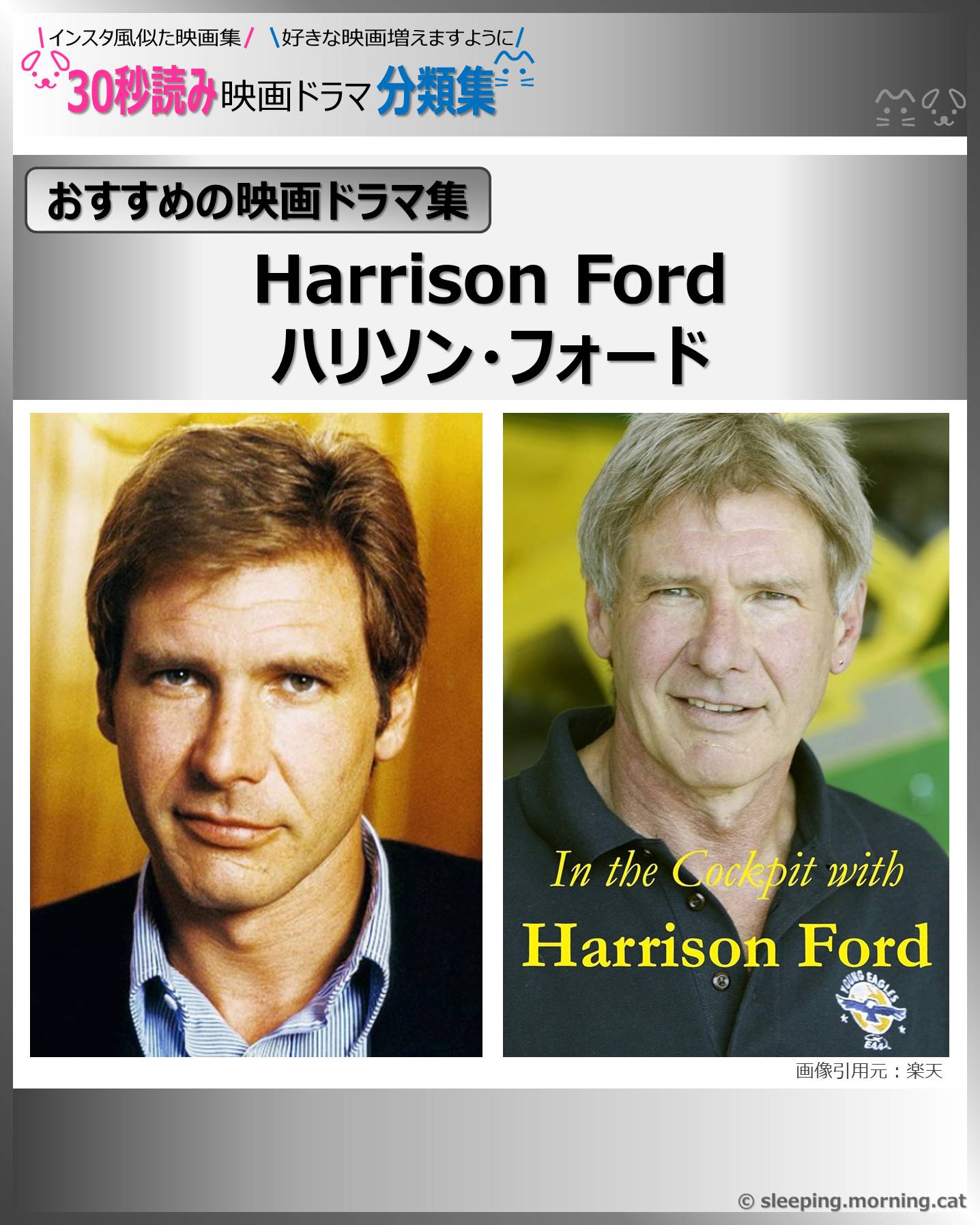 ✨ハリソン・フォード ✨ブラッド・ピット主演 宣伝用 非売品タペストリー ハリソン・フォード：Harrison Ford出演のおすすめ映画 出ている 代表