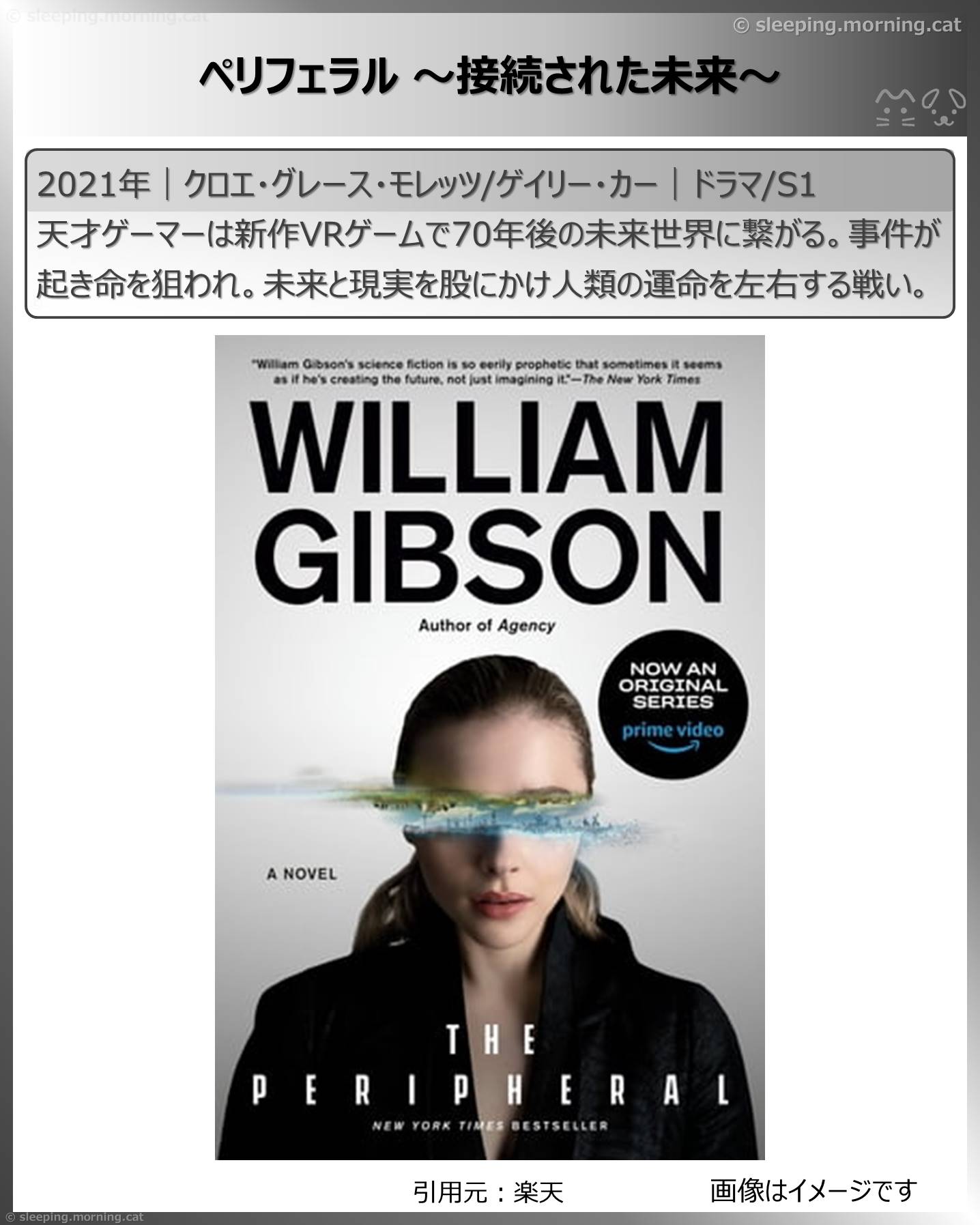 観て良かった海外ドラマ・韓国ドラマ：ペリフェラル～接続された未来～