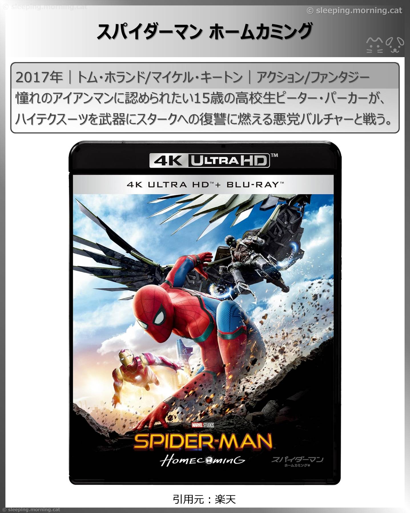 ロバート・ダウニー・ジュニア：スパイダーマン ホームカミング