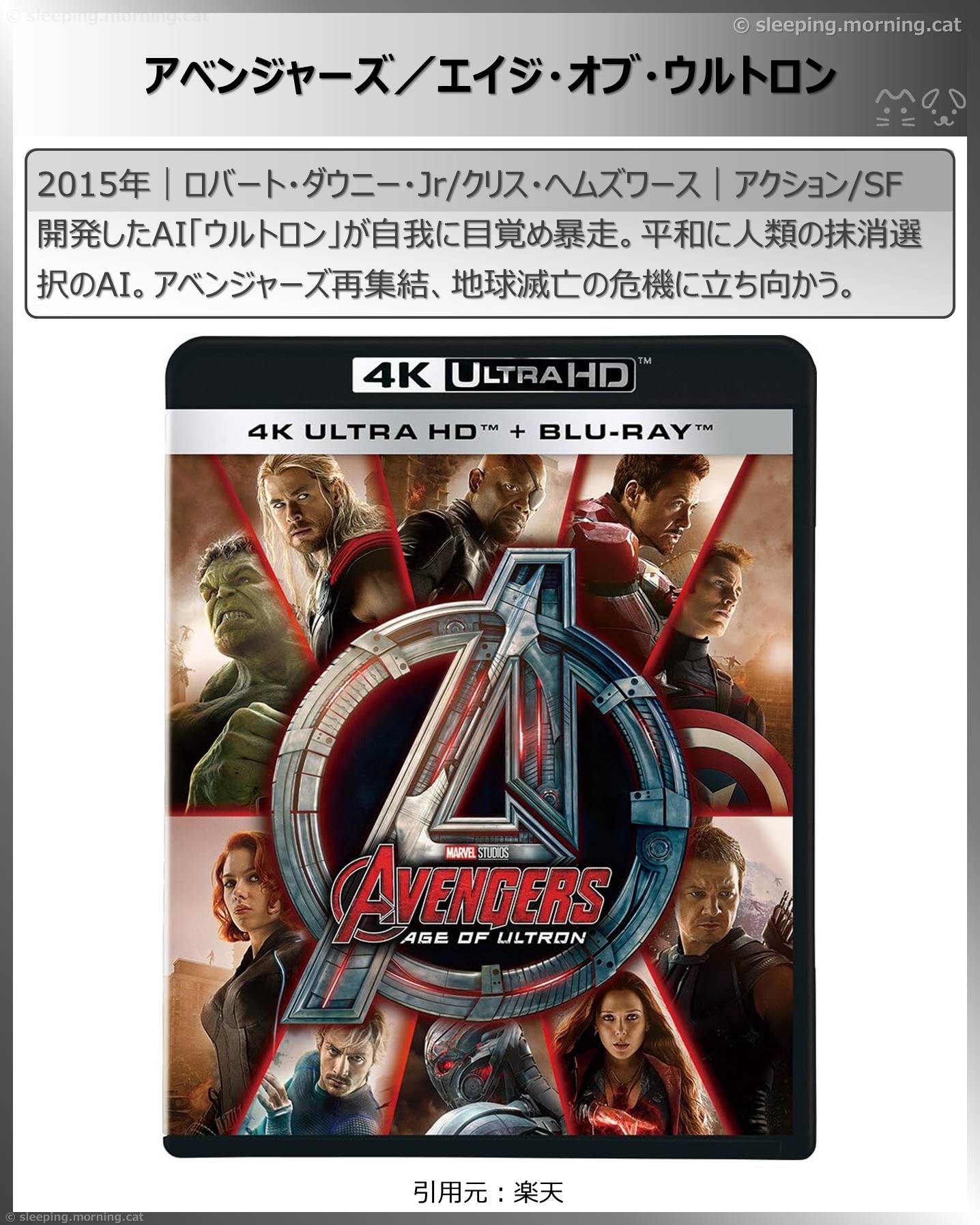 ロバート・ダウニー・ジュニア：アベンジャーズ／エイジ・オブ・ウルトロン