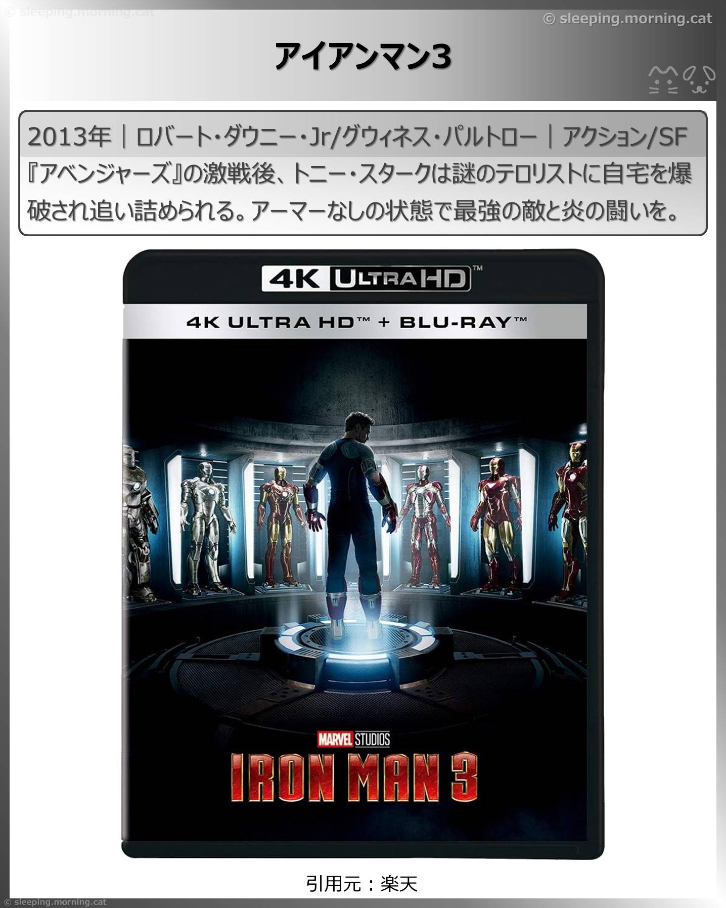 ロバート・ダウニー・ジュニア：Robert Downey Jr.出演のおすすめ映画