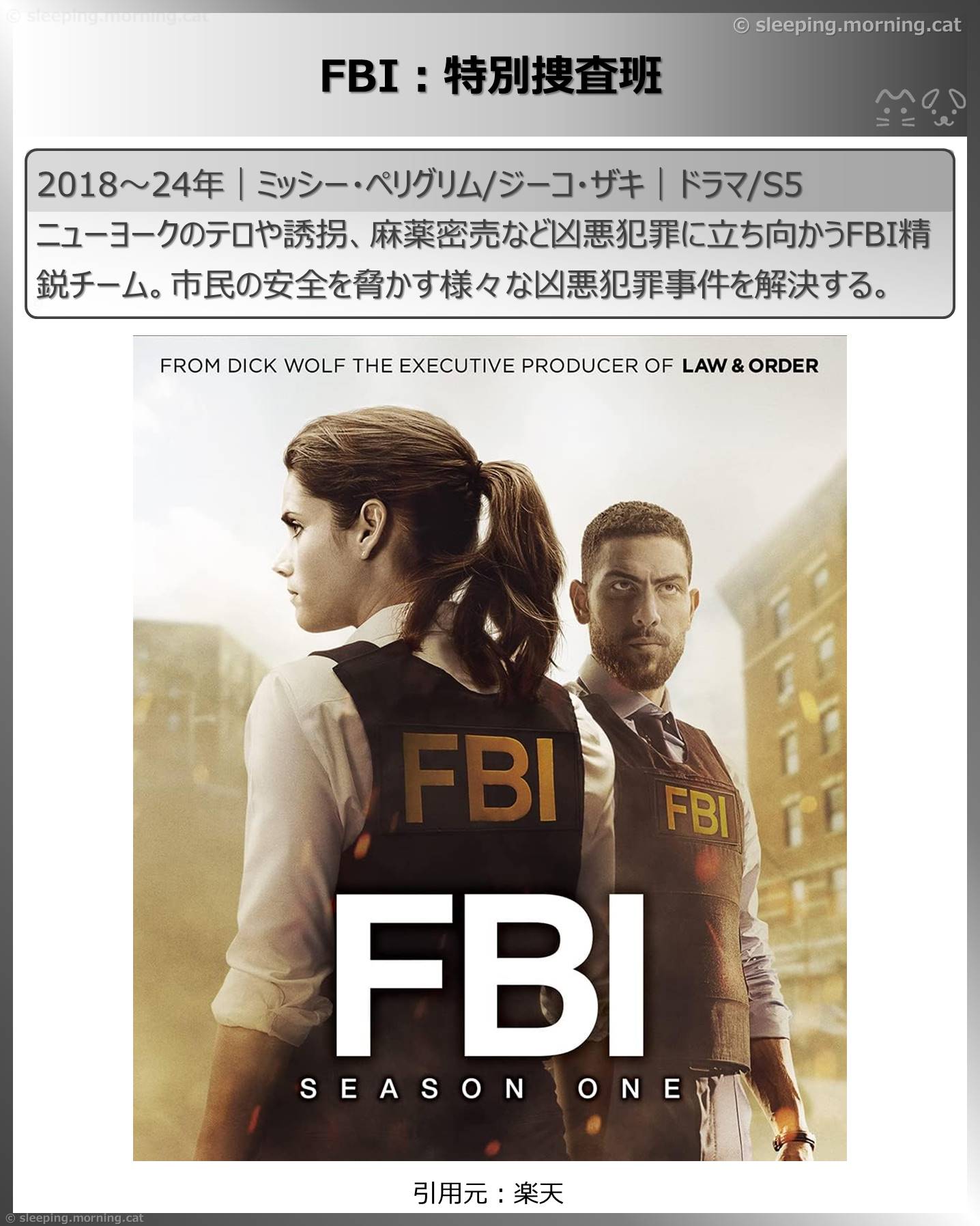 観て良かった海外ドラマ：FBI：特別捜査班