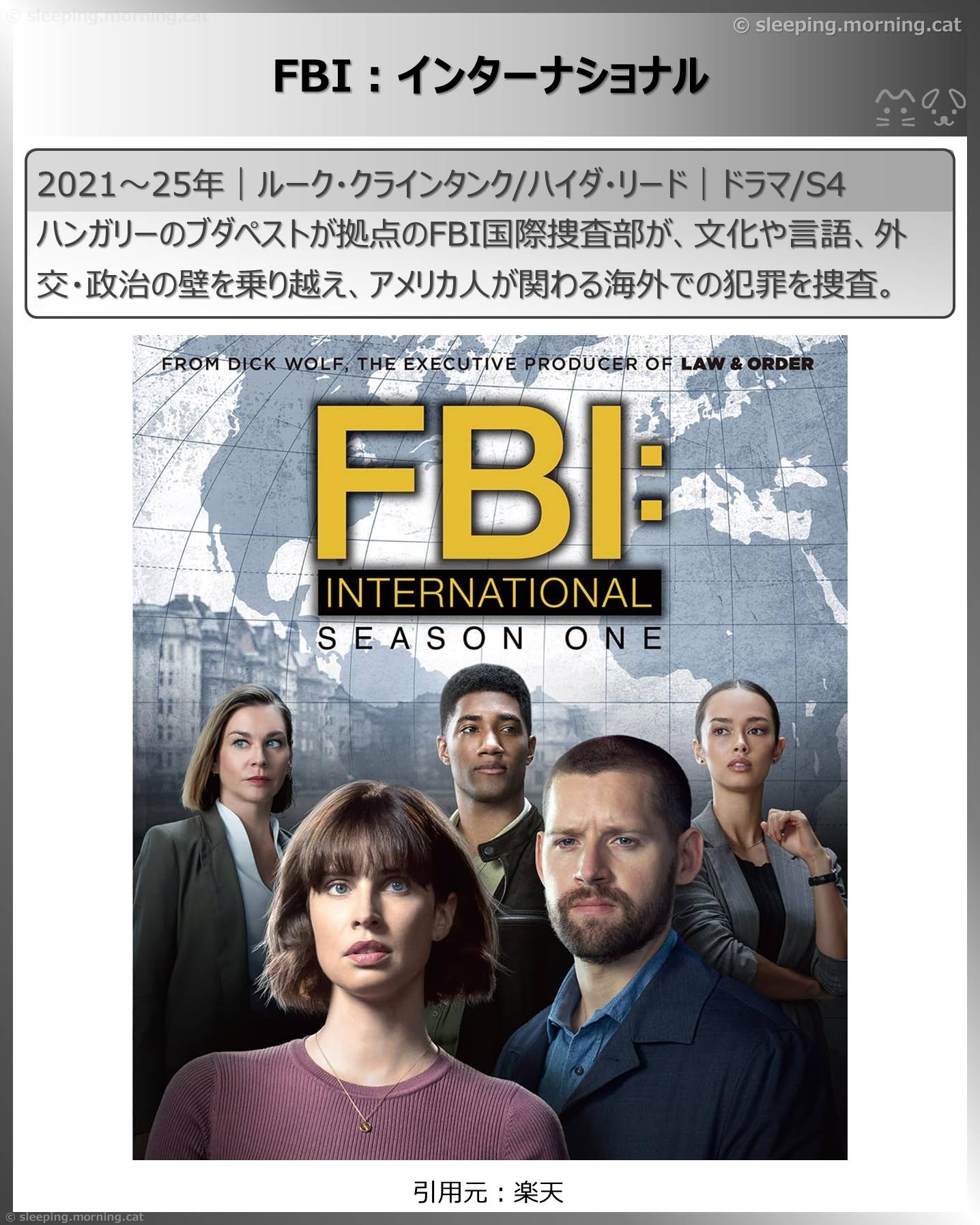 観て良かった海外ドラマ：FBI：インターナショナル