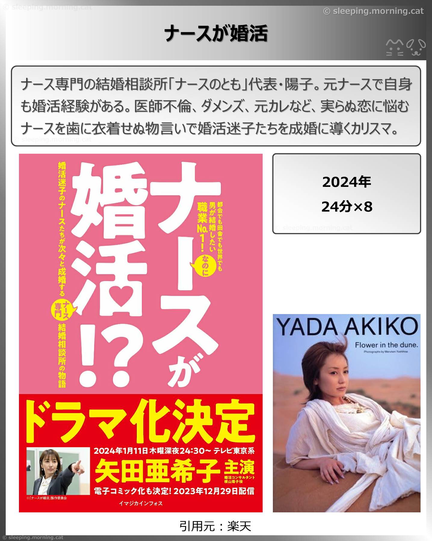 タイトル：ナースが婚活