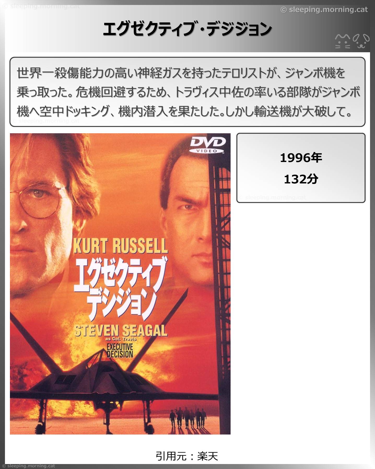 タイトル：エグゼクティブ・デジジョン