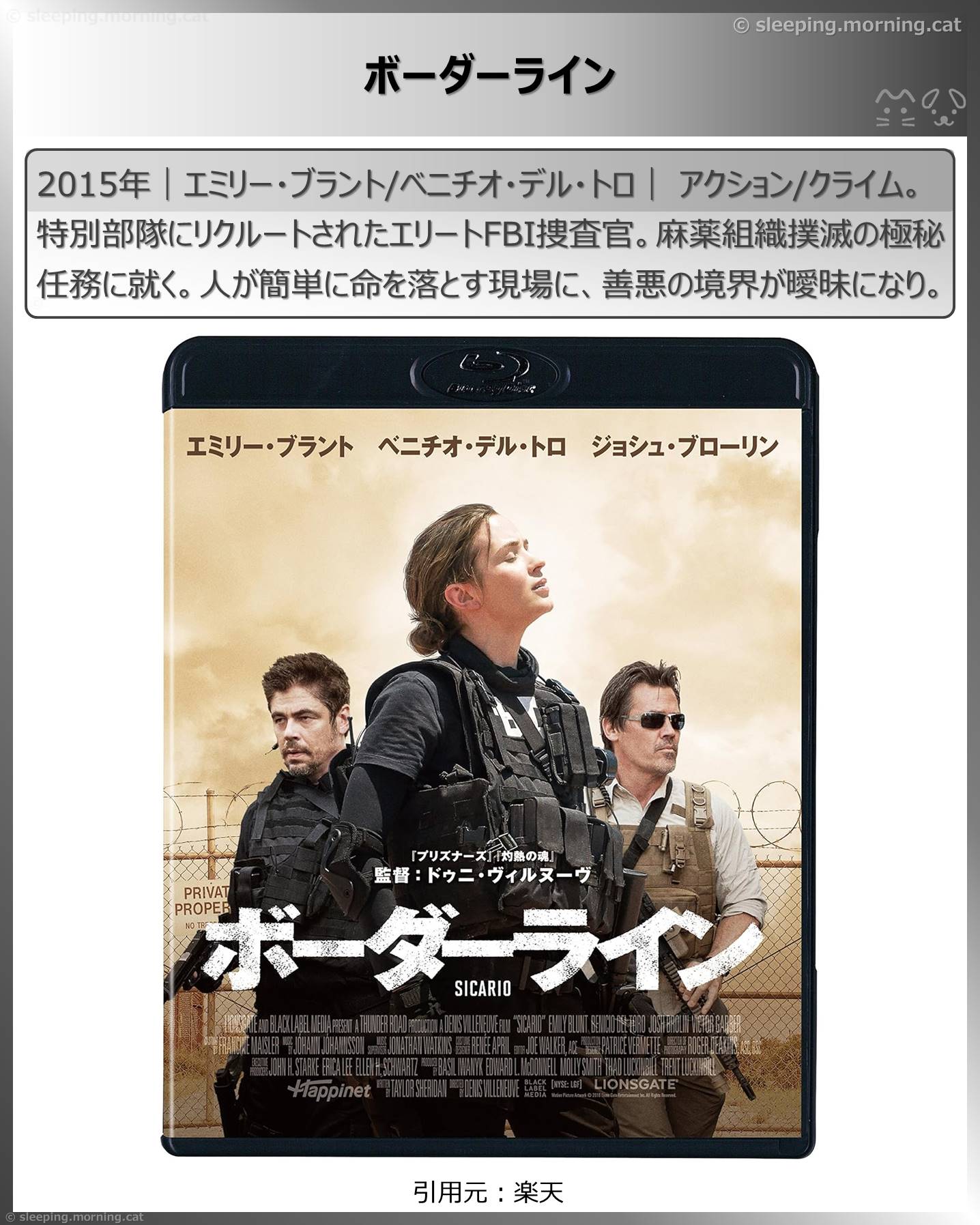 タイトル：ボーダーライン