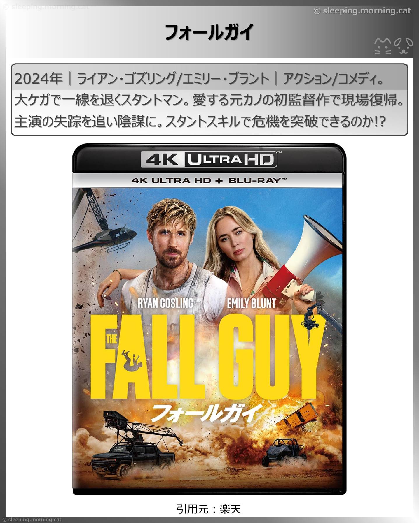 タイトル：フォールガイ