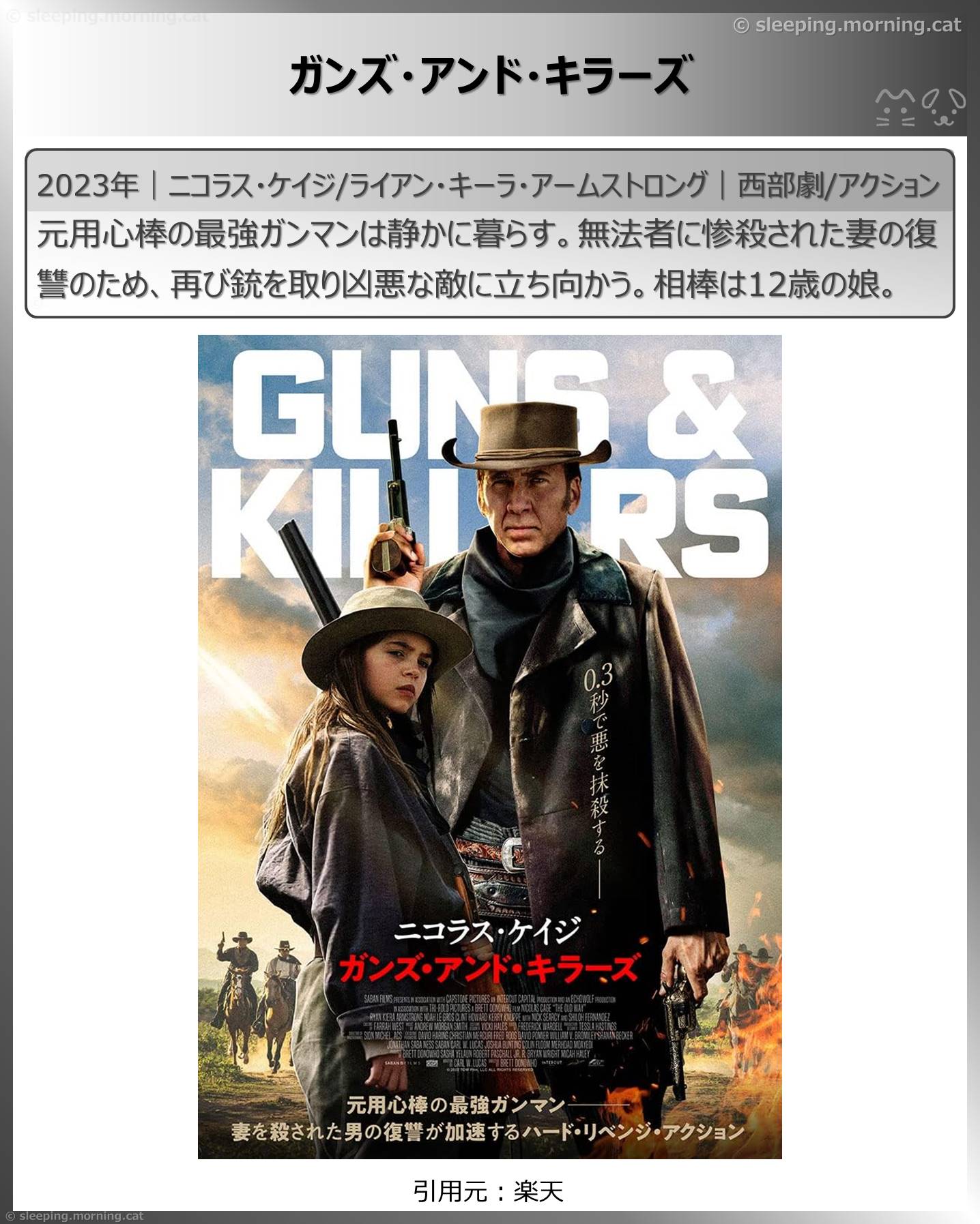 ニコラス・ケイジ：ガンズ・アンド・キラーズ