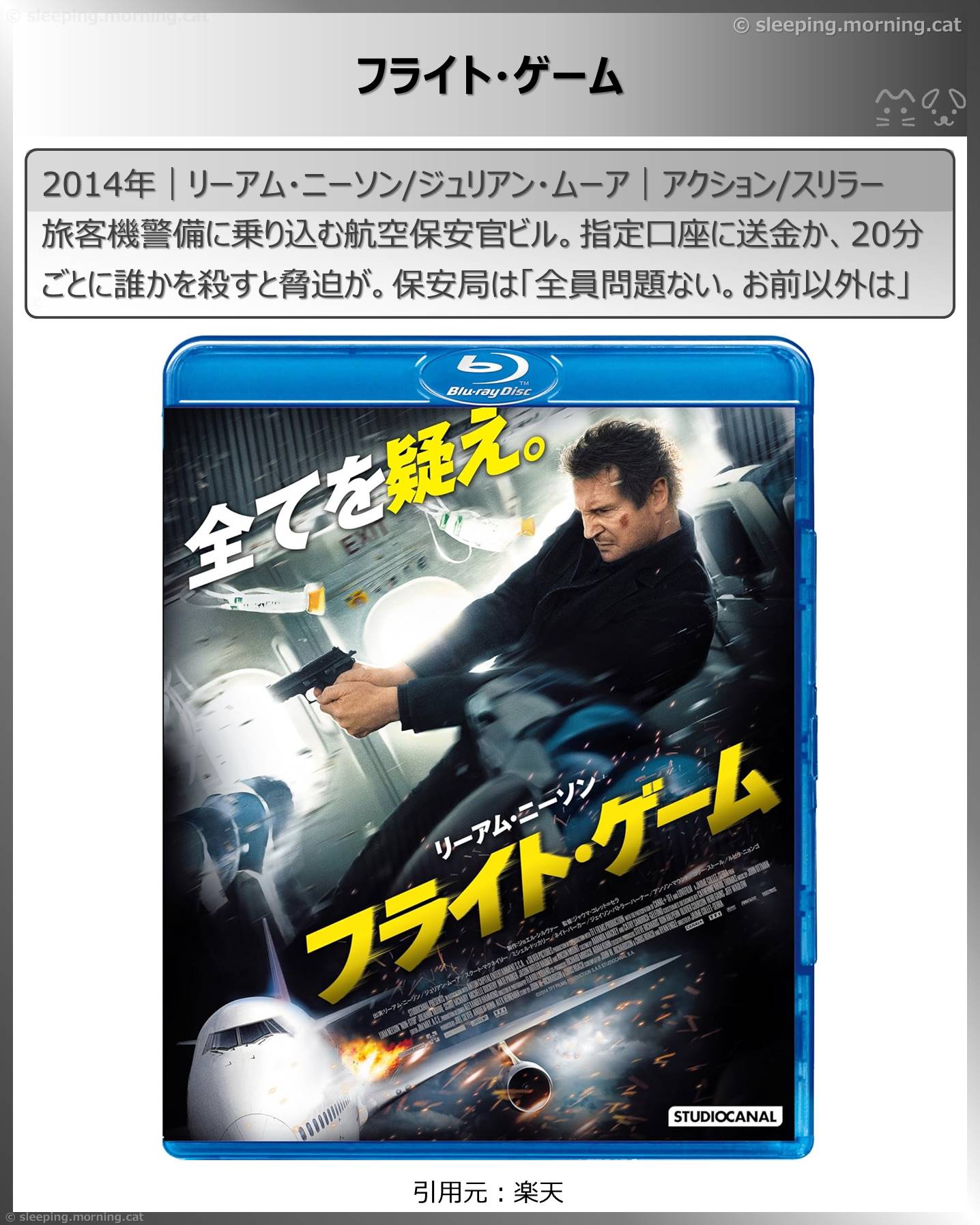タイトル：フライト・ゲーム