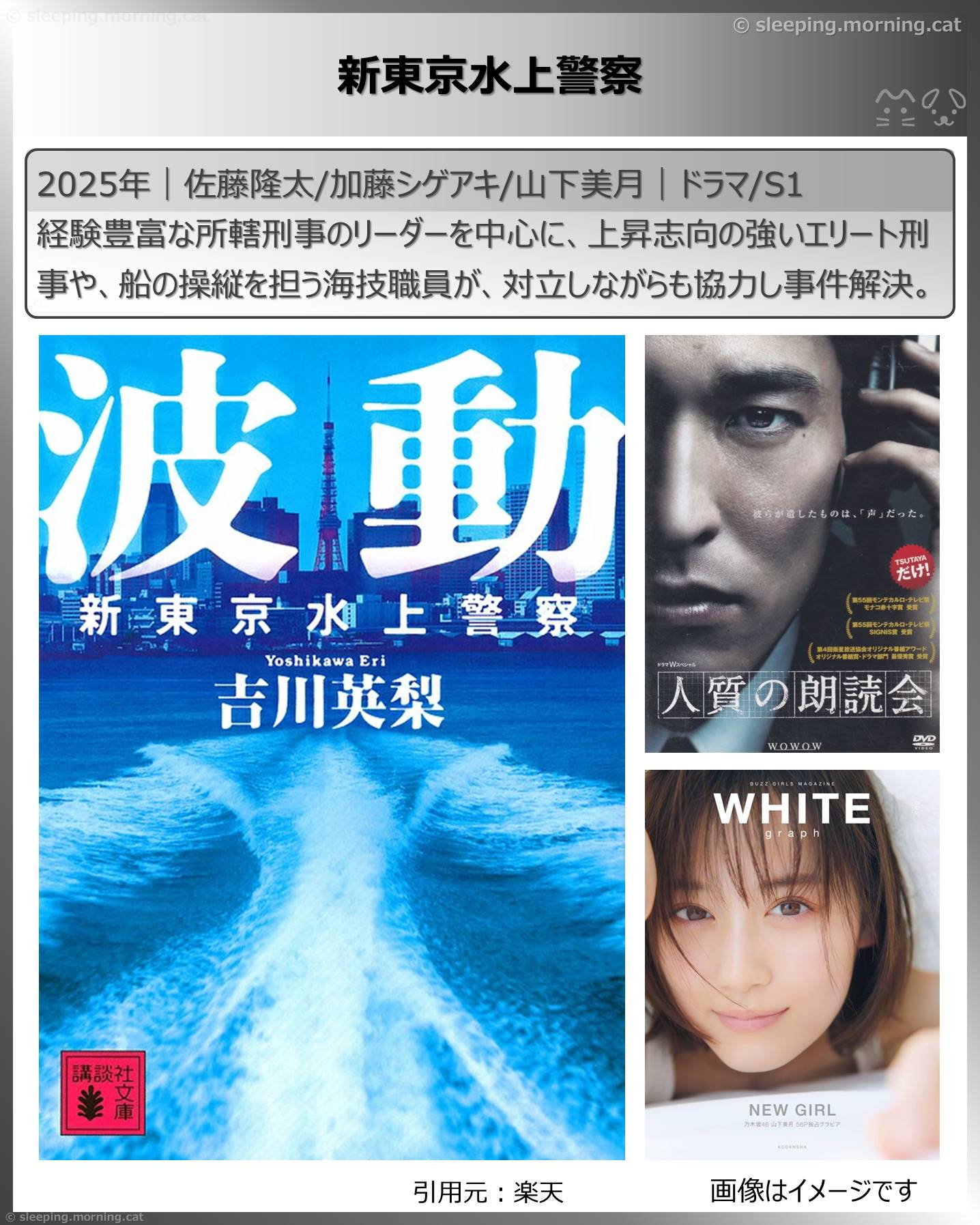 タイトル：新東京水上警察