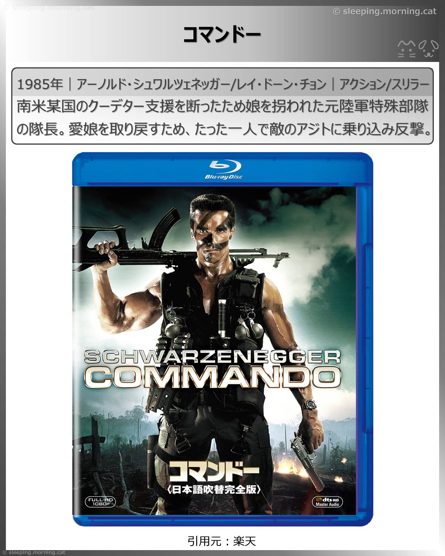 タイトル：コマンドー