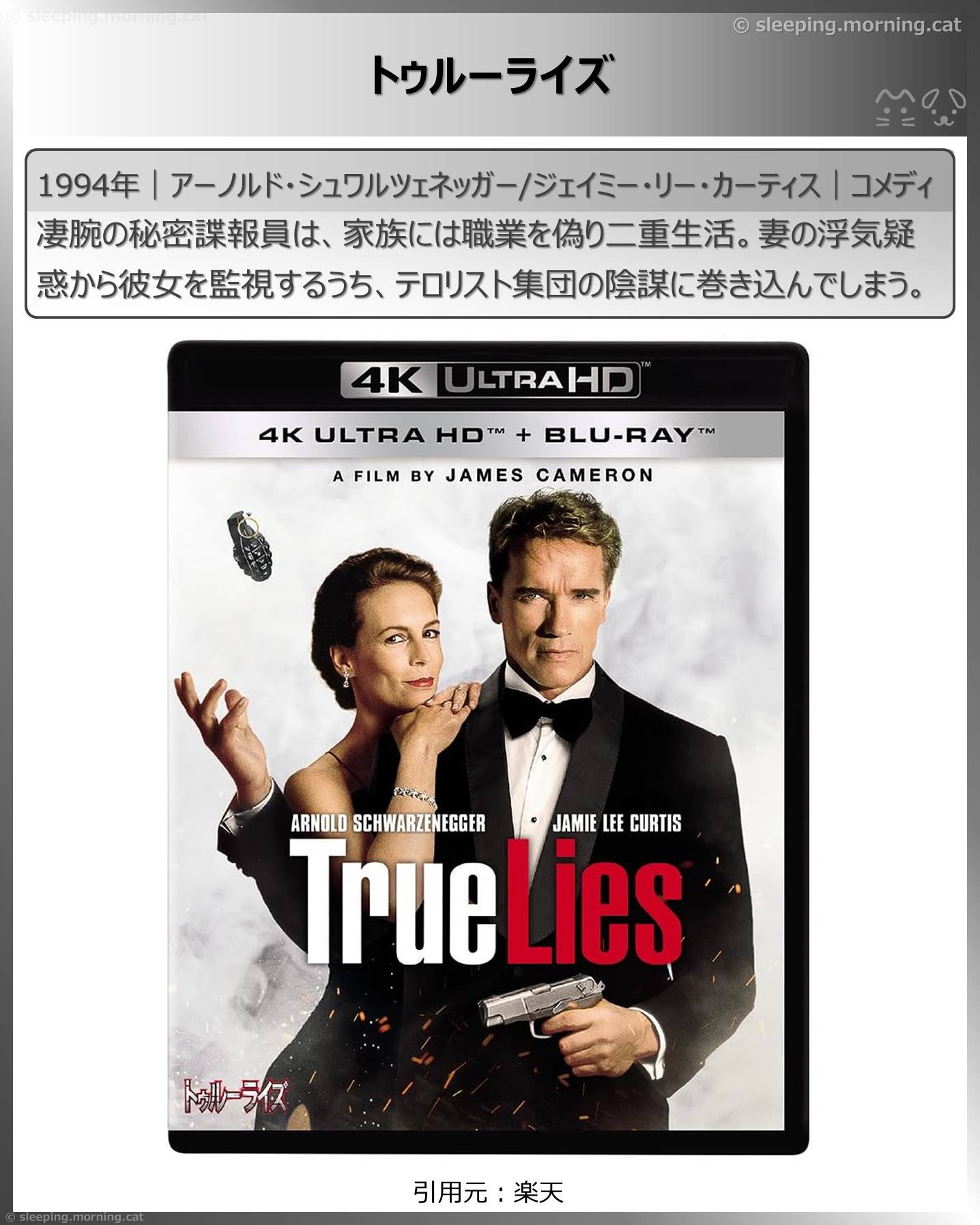 タイトル：トゥルーライズ