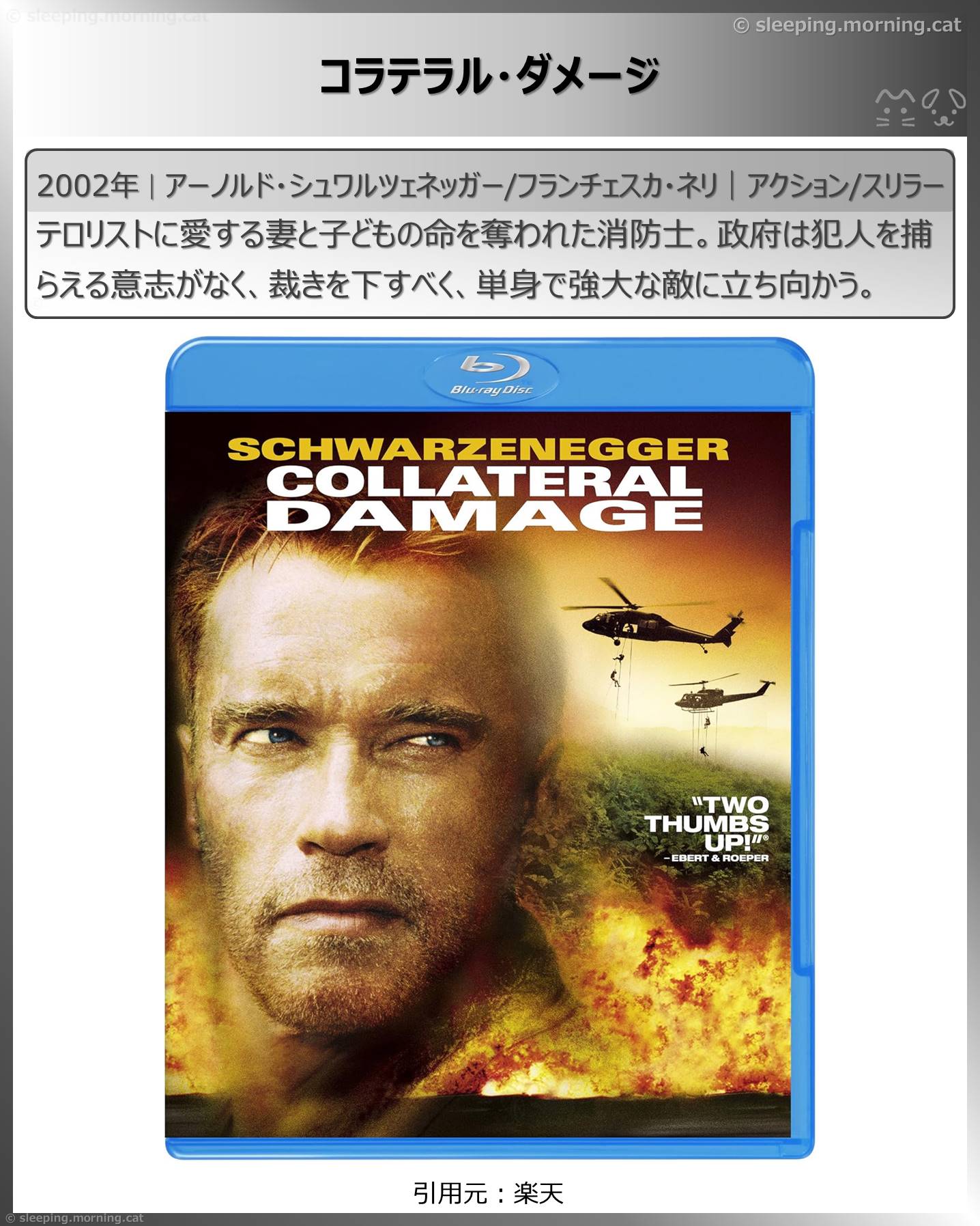 タイトル：コラテラル・ダメージ