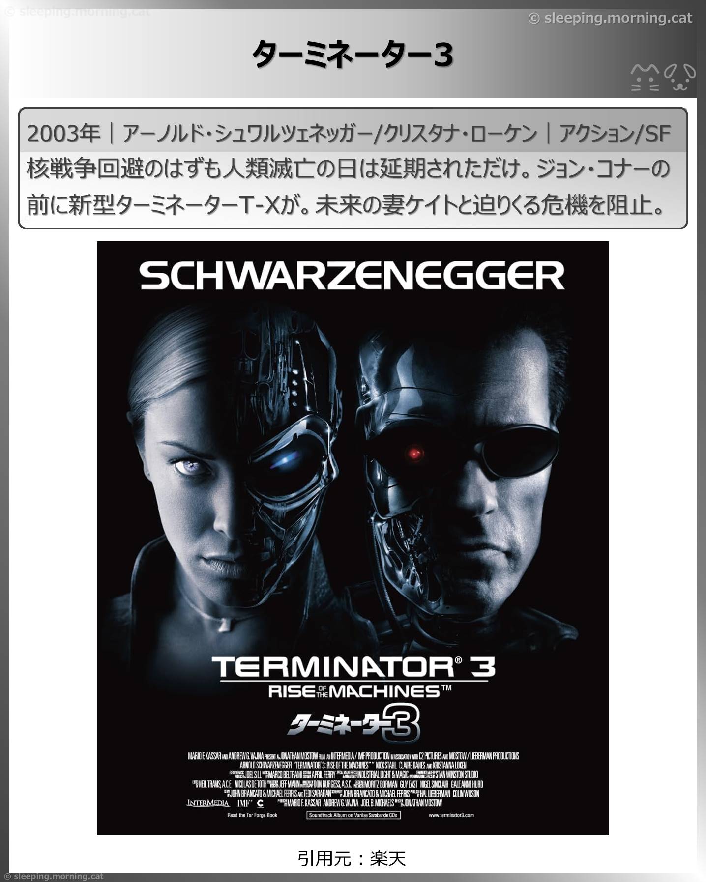 アーノルド・シュワルツェネッガー：ターミネーター3