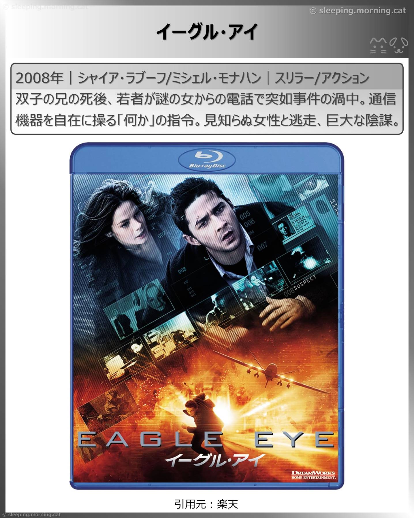 タイトル：イーグル・アイ