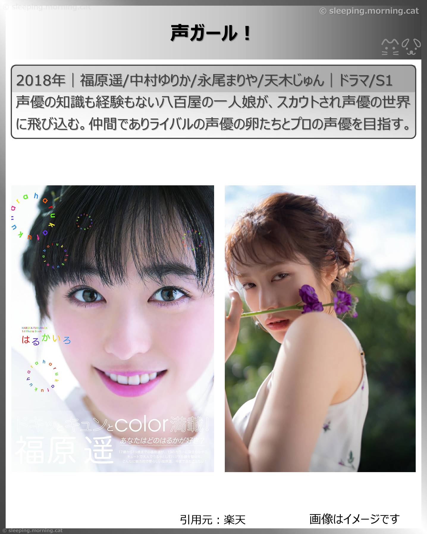 タイトル：声ガール!