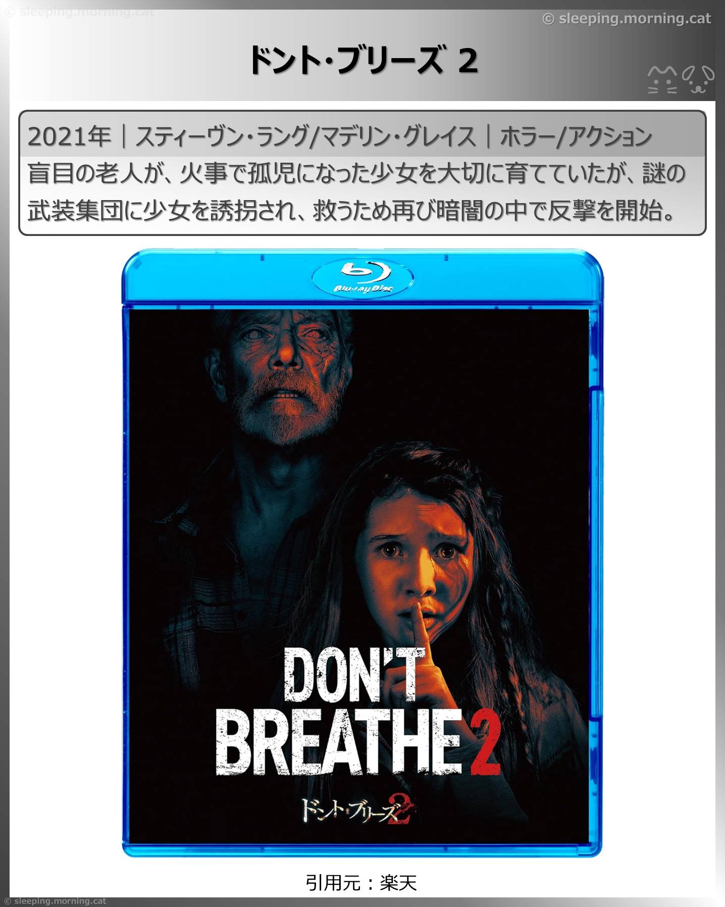 禁止事項の映画：ドント・ブリーズ2