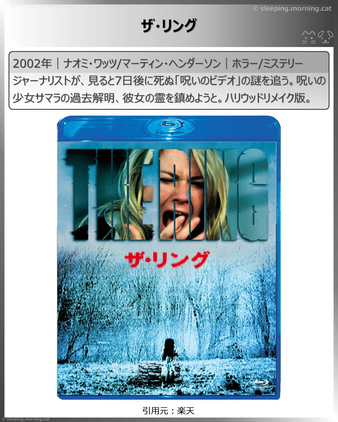 禁止事項の映画：ザ・リング