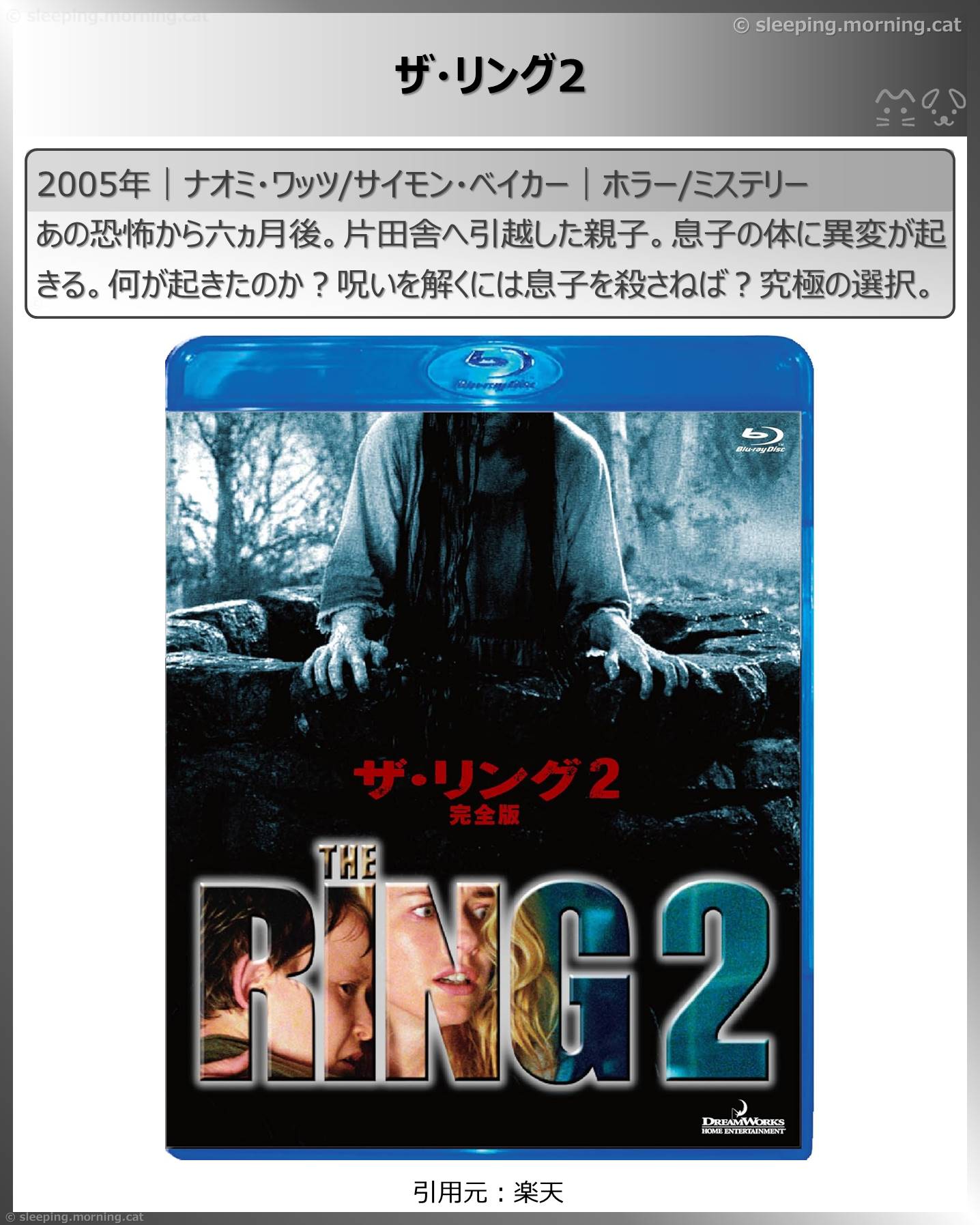 禁止事項の映画：ザ・リング2