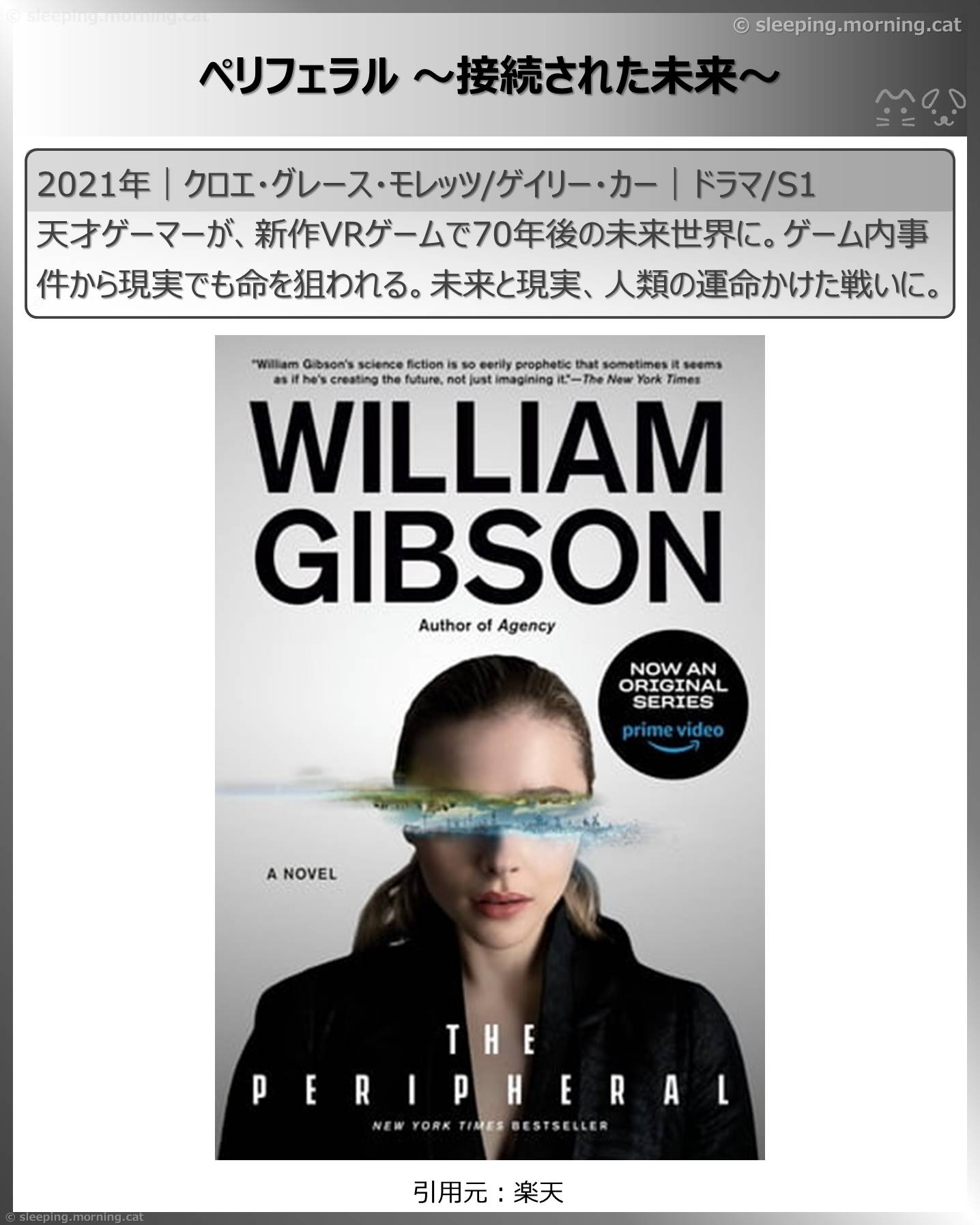 異空間・パラレルワールド：ペリフェラル～接続された未来～