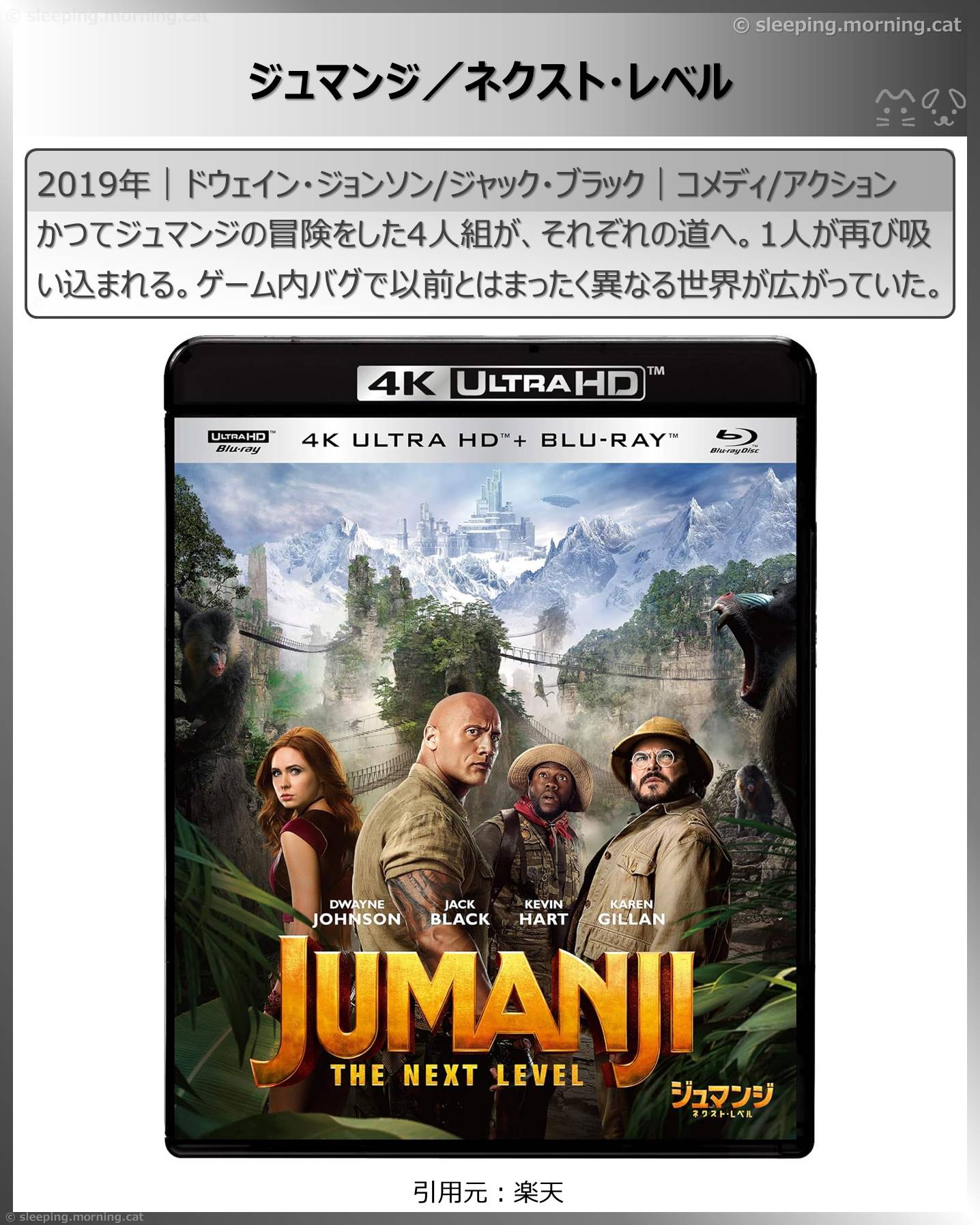 異空間・パラレルワールド：ジュマンジ／ネクスト・レベル